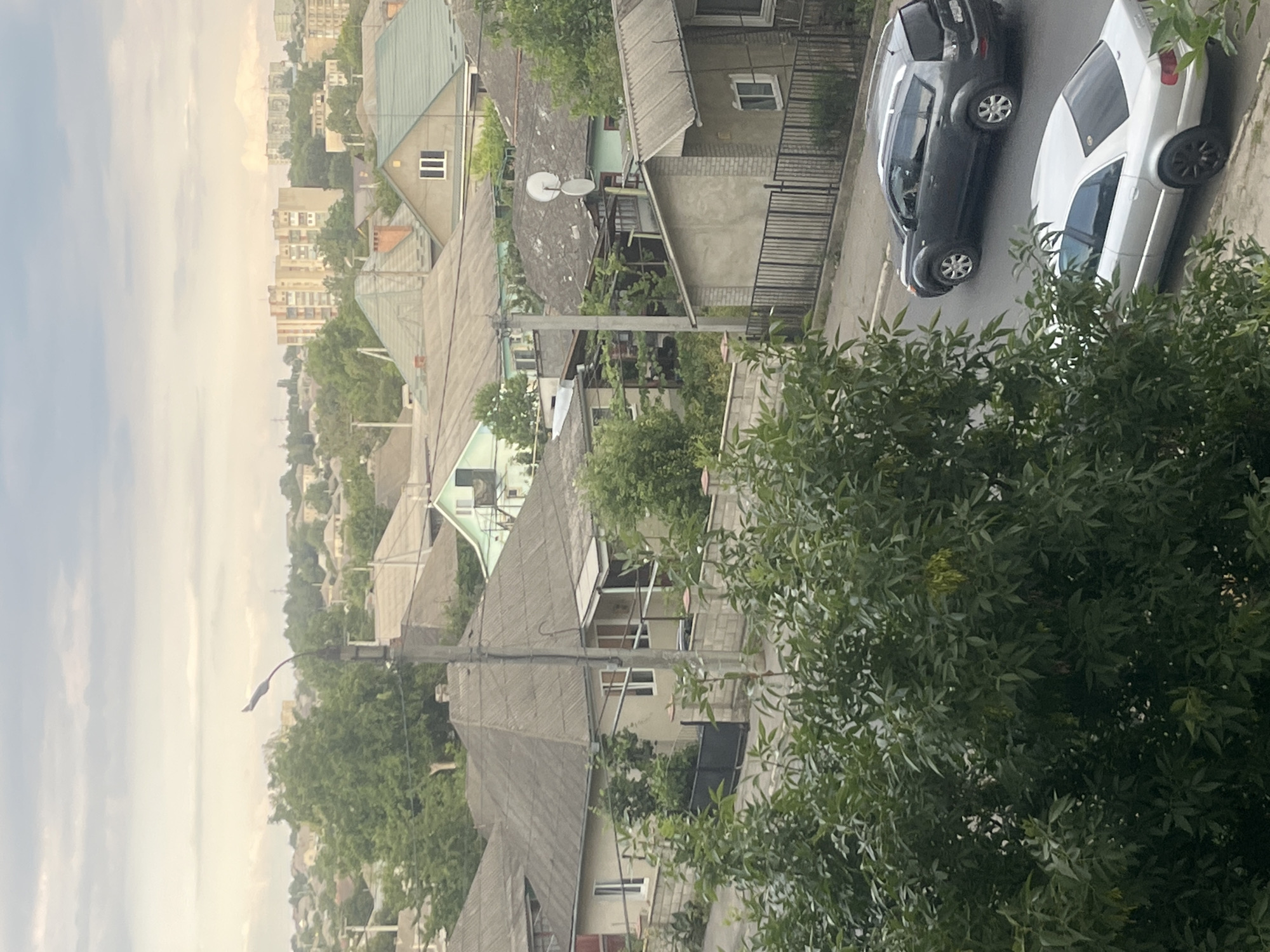 The image shows a view of a street in Rybnitsa, Moldova. The foreground is dominated by dense green foliage. In the middle ground, several houses with gabled roofs are visible, along with a street lamp. A grey SUV and a silver sedan are parked on the street. In the background, taller apartment buildings can be seen rising above the houses and trees. The sky is overcast.