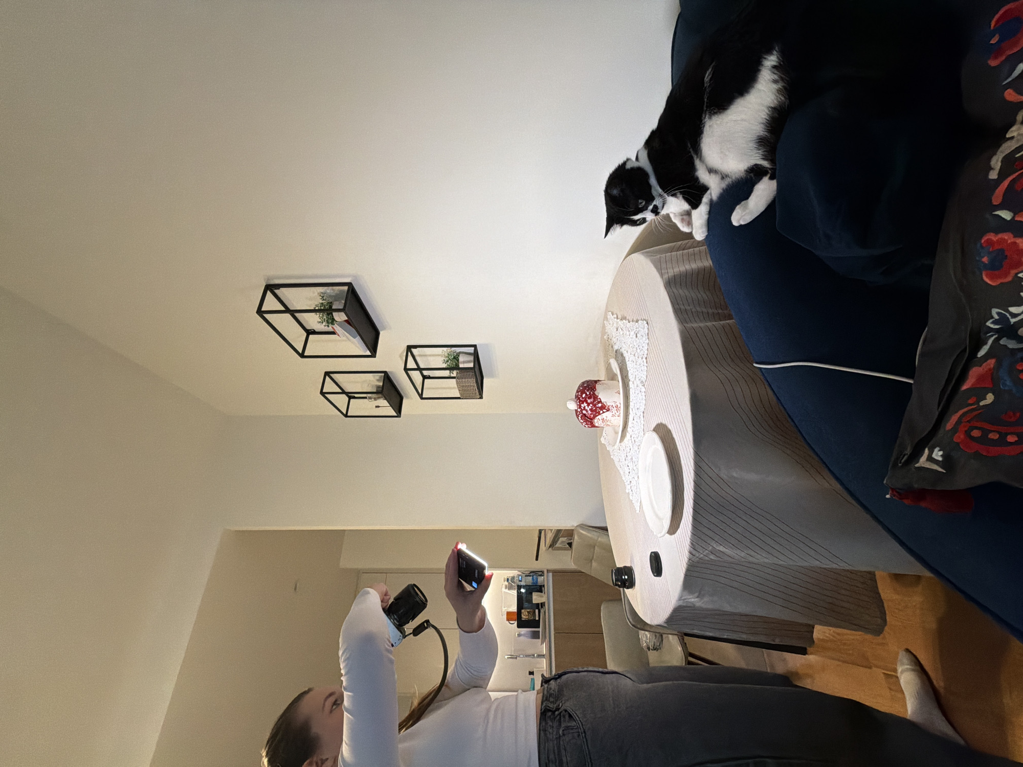The image depicts an indoor scene in an apartment located in Belgrade, Serbia. A female individual, wearing a white long-sleeved top and dark gray jeans, stands on the left side of the frame. She holds a black camera in her right hand, pointed towards a table, and a black rectangular LED light panel in her left hand, illuminating the table.
A round table, covered with a light-colored striped tablecloth and a white crocheted doily, is central to the image. On the table, a small white cake with red drizzle and sprinkles rests on a white plate. To its left, an empty white plate is present, alongside a black camera lens cap and a detached camera lens.
On the right side of the image, a black and white cat is positioned on a navy blue sofa, looking towards the table. The sofa is navy blue, and a patterned cushion or throw is partially visible in the bottom foreground.
The background features a plain white wall with three black, square-framed wall shelves, each containing a small potted plant and other decorative elements. To the far left in the background, an open-plan kitchenette is visible, equipped with light wood cabinetry, a sink, and various items on the counter including an orange mug and water bottles. The flooring throughout the visible area is wood.