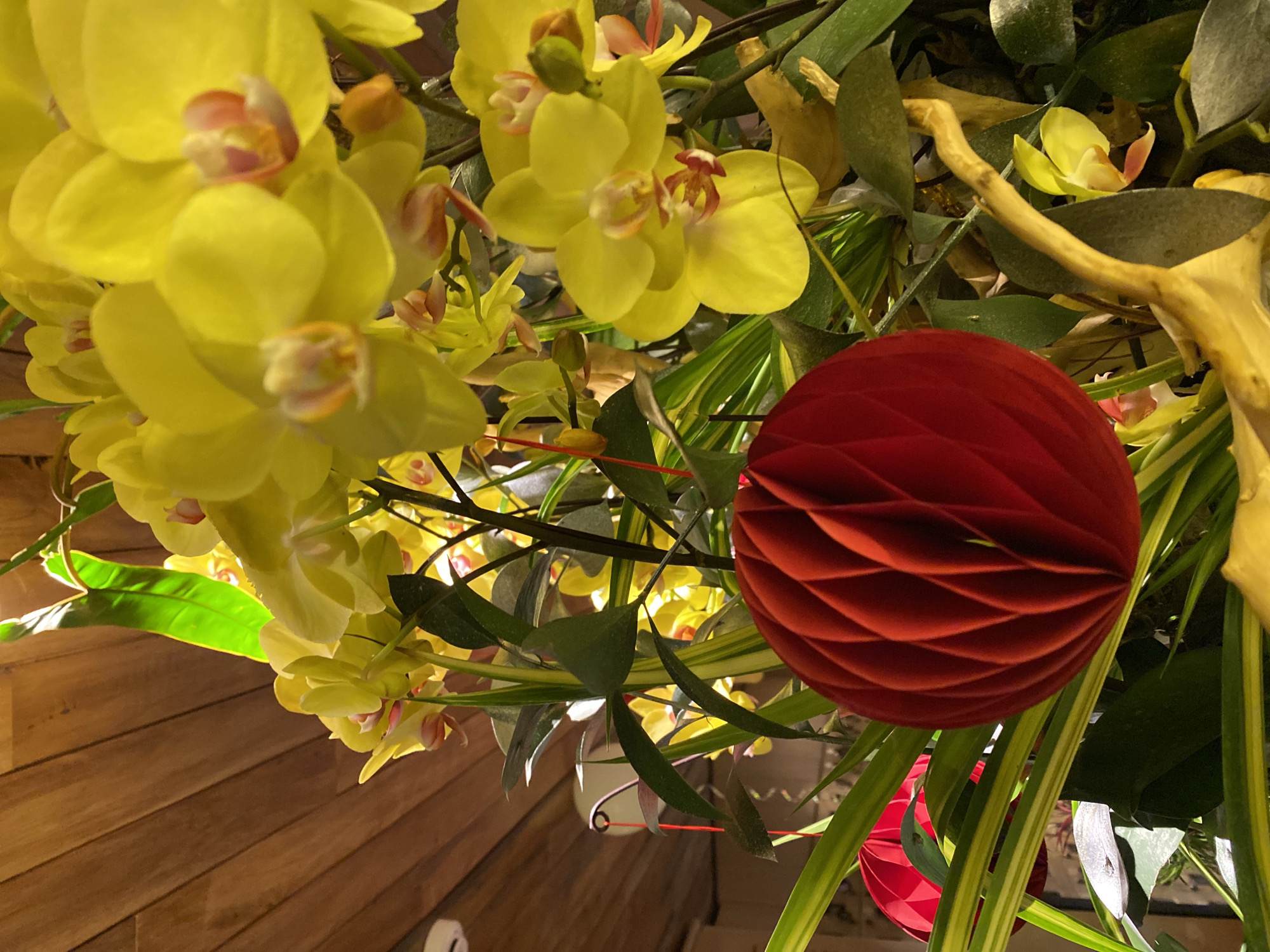 The image displays a close-up, low-angle shot of a vibrant arrangement of yellow orchids and lush green foliage, adorned with two red honeycomb paper ornaments. One ornament is prominently positioned in the foreground, a deep red sphere with intricate, folded panels. To the left, a second, slightly smaller red ornament is partially visible, its hexagonal pattern also apparent. The orchids, a cheerful yellow with delicate pink accents in their centers, are clustered together, some in full bloom and others as buds. A weathered, light-brown branch snakes through the lower right portion of the frame, adding a rustic element. In the background, a wall of horizontally oriented wooden planks provides a warm, textured backdrop. The scene is likely situated indoors, given the controlled lighting and the presence of what appears to be a ceiling light fixture visible on the far left. There are no people or animals depicted. The setting evokes a festive or celebratory atmosphere, possibly a decoration for a holiday or event. No specific landmarks or context within Da Nang, Vietnam, can be inferred from the image.