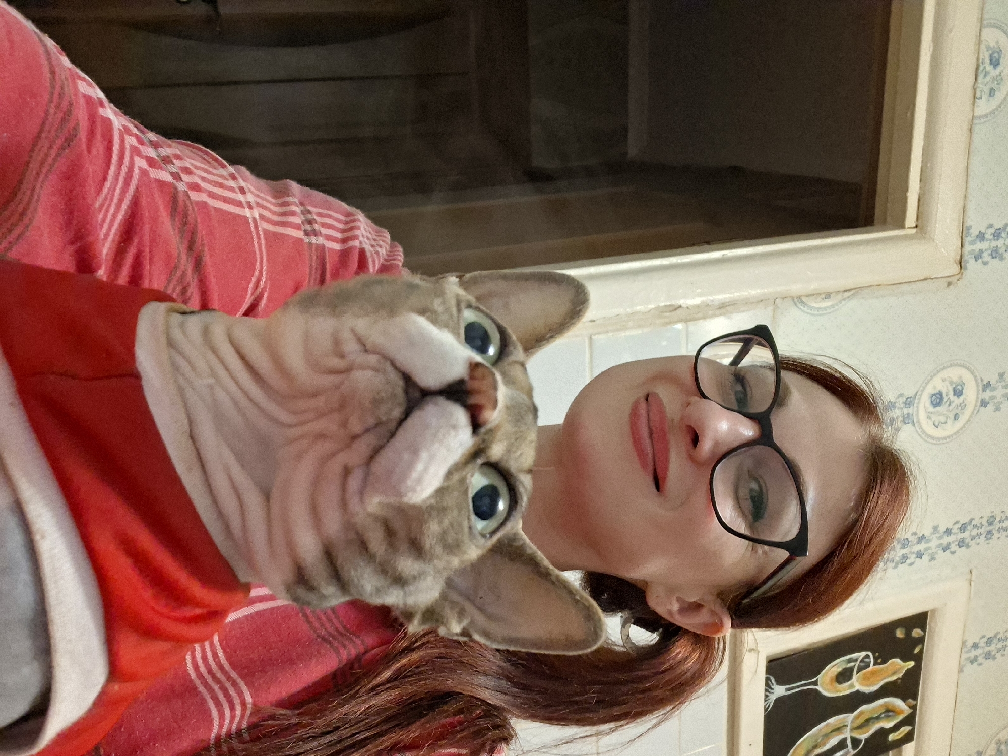 A woman with red hair pulled into a ponytail and wearing black-rimmed glasses is taking a selfie with a Sphynx cat. She is wearing a red plaid shirt. The cat, which appears to be a light brown and grey tabby, is wearing a red garment around its neck and chest. They are indoors, with a door frame and a wall with blue floral wallpaper visible in the background. A framed artwork depicting two glasses with yellow liquid is also present on the wall. The setting appears to be a domestic interior.