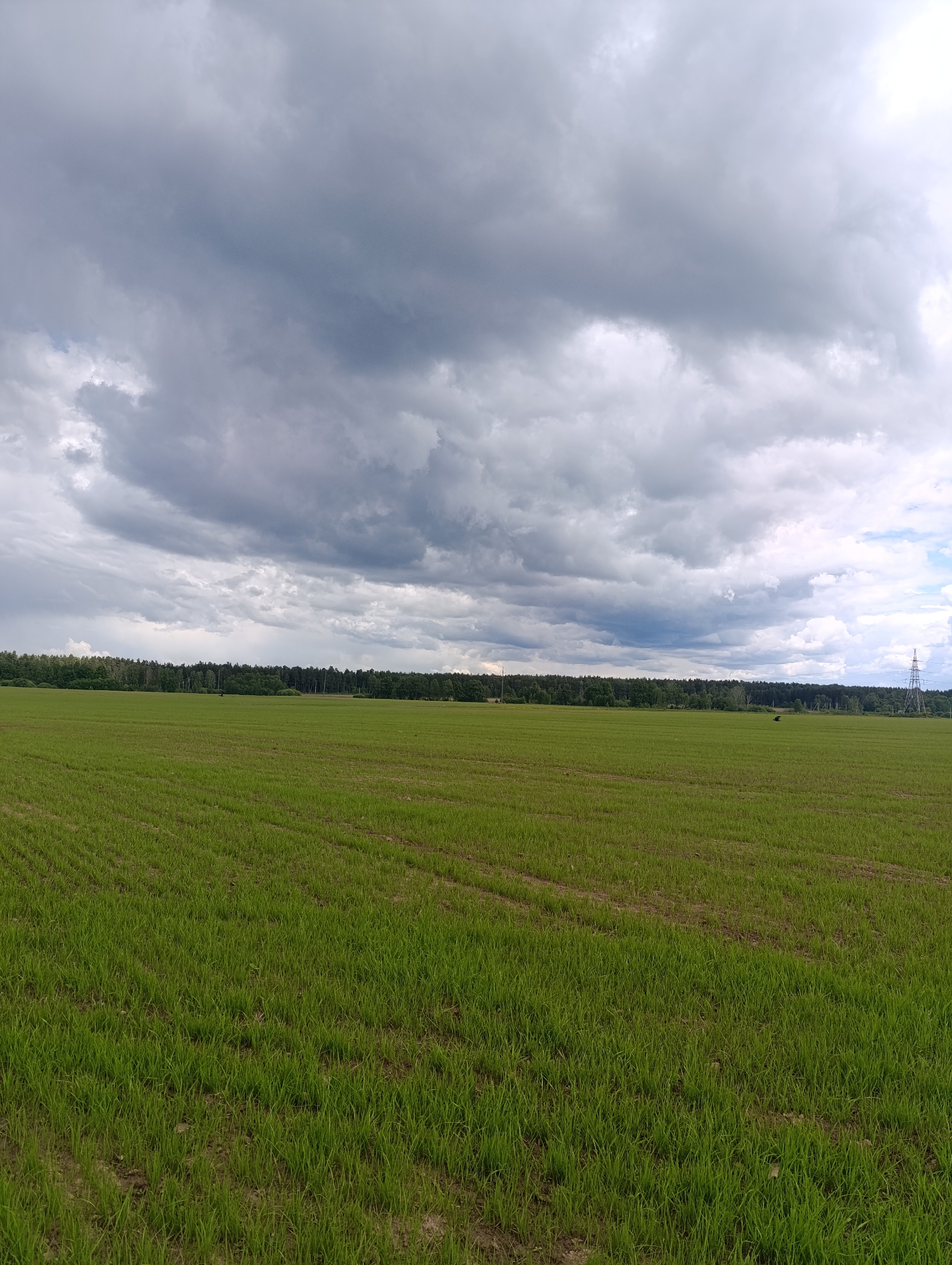 A wide-angle shot depicts a vast, green field under a stormy sky. The field is likely a cultivated agricultural area, with visible rows indicating planting. A dark line of trees forms a horizon in the mid-ground. Towards the right side of the image, a tall, metal electricity pylon is visible. The sky is dominated by heavy, grey storm clouds, though a patch of lighter sky peeks through on the right. The location is unknown, and there are no visible people or interactions.