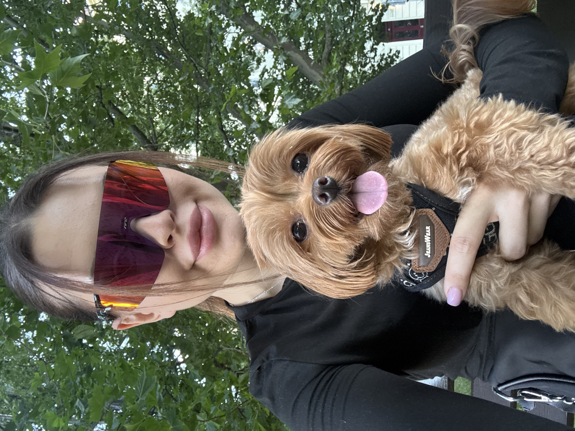 An individual, wearing oversized, mirrored sunglasses with a red tint and a black long-sleeved shirt, is holding a small, light brown dog in their arms. The dog, which appears to be a Yorkshire Terrier mix, has its tongue sticking out. The scene is set outdoors with lush green trees in the background, suggesting a park or a shaded outdoor area. The lighting indicates it is daytime, possibly late afternoon due to the warm hues reflecting in the sunglasses. The individual's hand, with light pink nail polish, is visible resting on the dog's harness, which has the text "JEANSWEAR" on it. The overall impression is a casual, candid moment captured during an outing. The architectural elements visible in the far background, such as windows and a reddish door, hint at an urban environment that could be a park in Prague, Czechia.