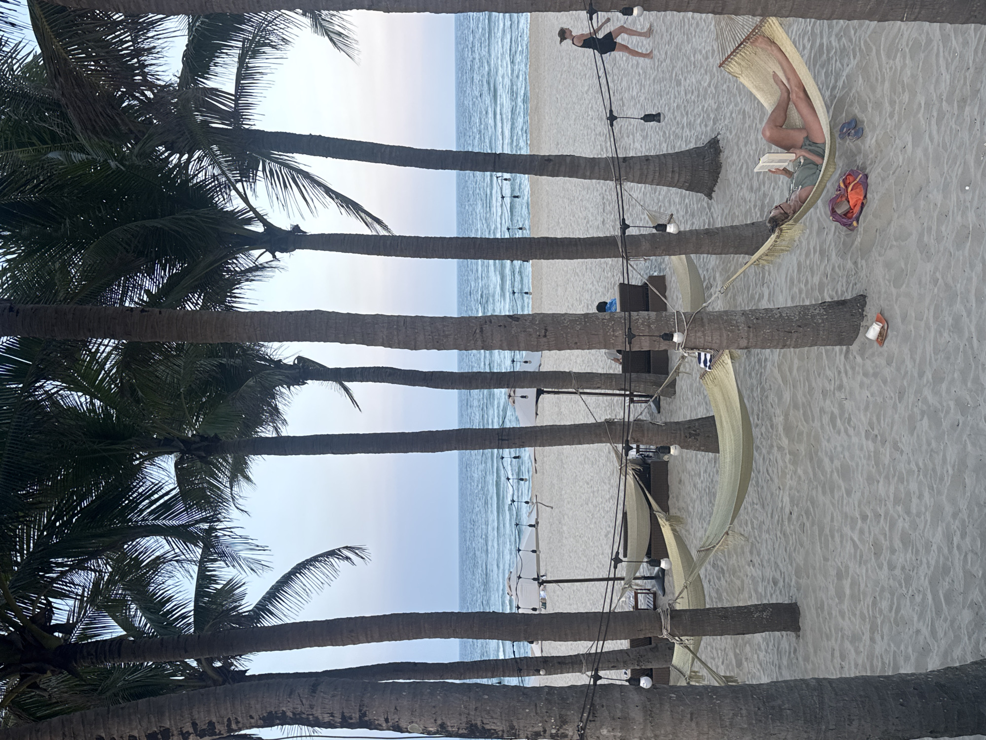 The image presents a beach scene at dusk on a resort beach in Đà Nẵng, Vietnam. Numerous tall palm trees with visible fronds are scattered across the sandy foreground and midground. Multiple light-colored woven hammocks are strung between these trees. Black string lights with white incandescent bulbs are suspended between the palm trees, above the hammocks.
In the lower right quadrant, a female individual with light hair, wearing a light-colored sleeveless top and shorts, is lying in a hammock, reading a white-covered book. Her legs are extended within the hammock. On the sand directly below her, a purple and orange bag, blue flip-flops, and a white cup resting on a brown coaster are visible.
Further in the midground, toward the right, another female individual with light hair tied up, wearing dark athletic attire, walks barefoot across the light-colored sand from right to left, moving away from the ocean. In the background, several white beach umbrellas and dark outdoor lounge furniture are arranged on the sand. A third individual is partially visible sitting in one of these lounge chairs on the left side of the midground. The calm, blue-grey ocean, with subtle waves, forms the horizon line, meeting a sky that transitions from light blue overhead to a faint pink hue near the horizon.