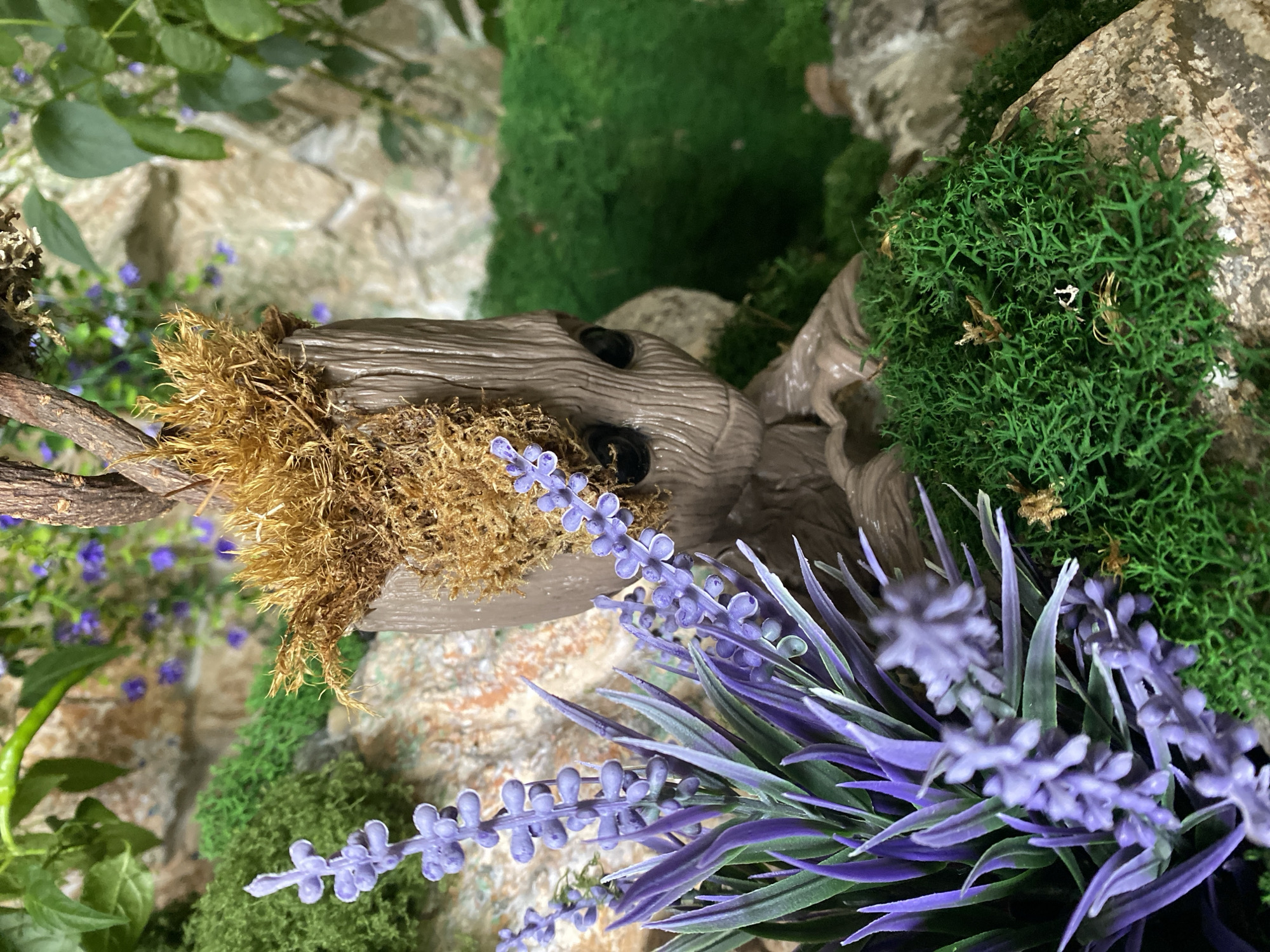 A close-up shot shows a figurine of Groot, the Marvel character, set within a miniature garden scene. The figurine is predominantly brown and appears to be made of plastic. It features a tuft of yellowish-brown moss or faux foliage on top of its head. Purple flowers are arranged near the base of the figurine.
The surrounding environment is filled with varying shades of green moss, small rocks, and artificial plants. The background suggests a rock-like structure.
The location in the city of Novokuznetsk, Russia, is not discernible from this image.