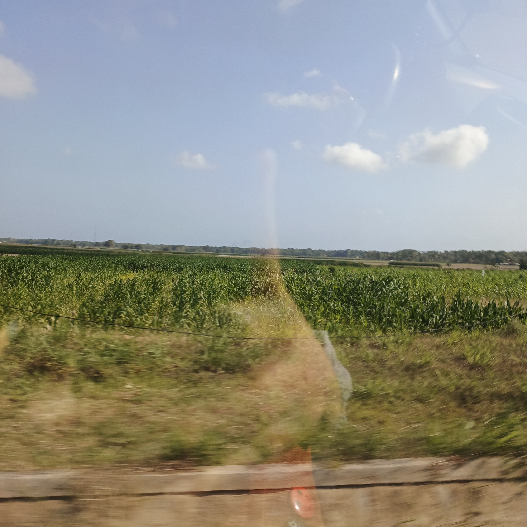 The image depicts a vast, green cornfield under a partly cloudy sky. The field stretches to the horizon, with a line of trees and low buildings visible in the distance. The foreground is blurred due to motion, showing dry grass and a wooden structure, possibly a fence or part of a vehicle. Reflections are visible on the surface of what appears to be a window. The scene is set in a rural or agricultural area, likely outside of a major urban center. While the image itself does not provide direct information about the location within Bagelen, Indonesia, the landscape is consistent with rural Indonesian agricultural settings, possibly a corn-growing region.