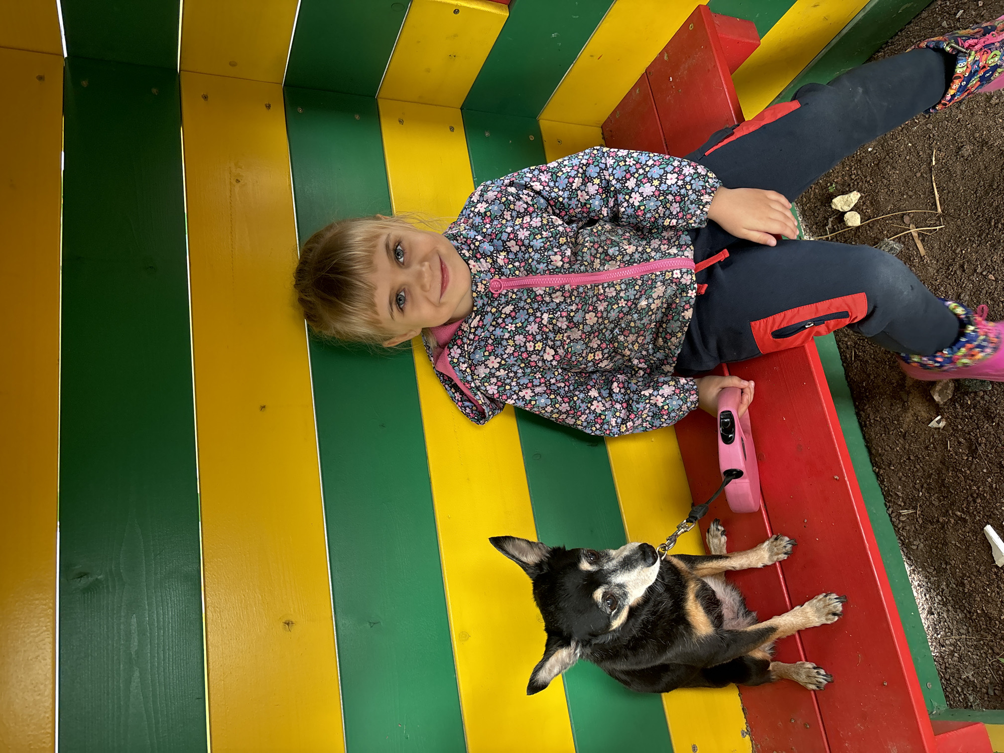 A young girl with blonde hair and blue eyes, wearing a floral jacket and dark pants with red accents, sits on a red wooden bench inside a structure with green and yellow striped walls. Beside her on the bench, a small black and tan dog with alert ears sits on a leash. The dog is looking to its left, while the girl is looking at the camera. A pink retractable leash handle is on the bench to the right of the dog. The ground beneath the bench is covered in dirt and small stones. The structure appears to be outdoors.