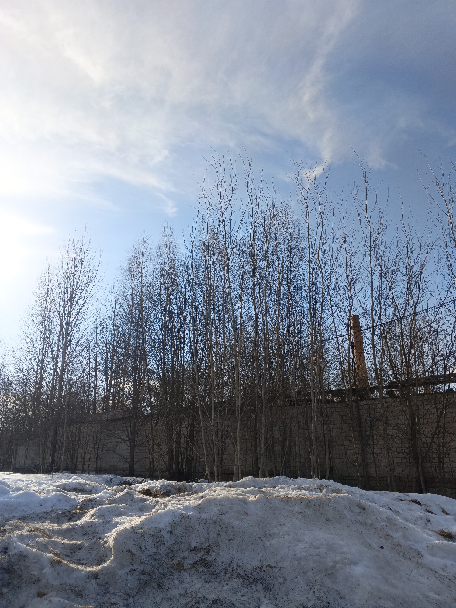 The image presents an outdoor scene in Красный Маяк, Russia, characterized by late winter or early spring conditions. The foreground consists of undulating mounds of dirty, melting snow, interspersed with patches of dark earth and debris. A dense array of bare deciduous trees, devoid of foliage, forms a prominent line across the midground. Behind these trees, a long, grey, block-textured wall is visible, extending horizontally. A tall, slender, reddish-brown brick industrial chimney is situated in the background, appearing between the tree branches and above the wall. Dark utility lines or cables traverse horizontally through the upper branches of the trees. The sky overhead is bright blue with scattered, wispy white clouds, and a strong solar glare emanates from the upper left quadrant. No individuals or moving subjects are present.