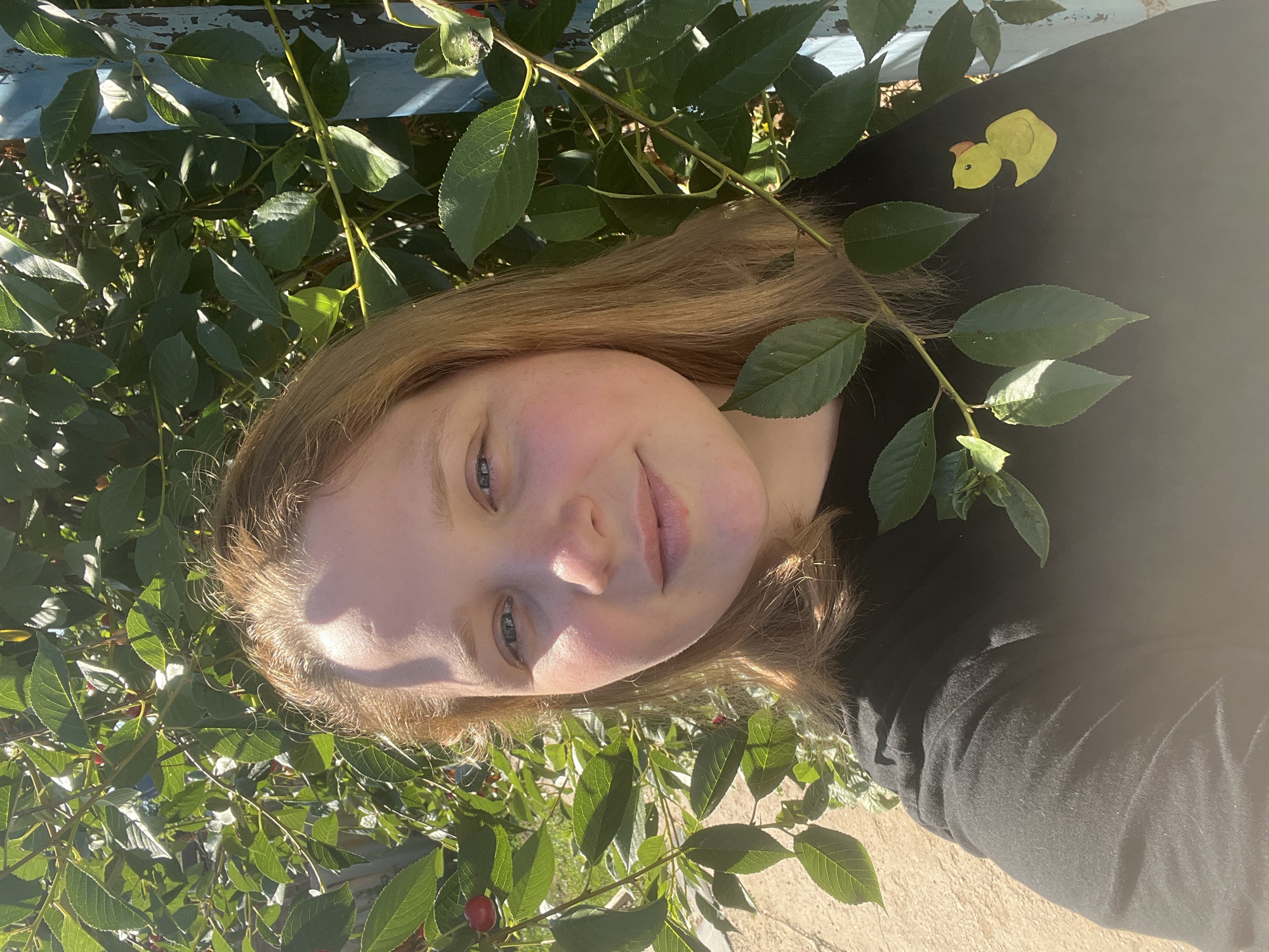 In Rakhinka, Russia, a young person with fair skin and blonde hair takes a selfie outdoors, surrounded by lush green foliage, possibly a cherry tree given the presence of small red fruits. The person is wearing a black t-shirt adorned with a yellow duck appliqué on the right side. Sunlight casts shadows and highlights on their face and clothing. In the background, a weathered blue structure, possibly a fence or post, is partially visible. The ground appears to be a light-colored, rough surface, perhaps concrete or stone. The overall scene is natural and sun-drenched.