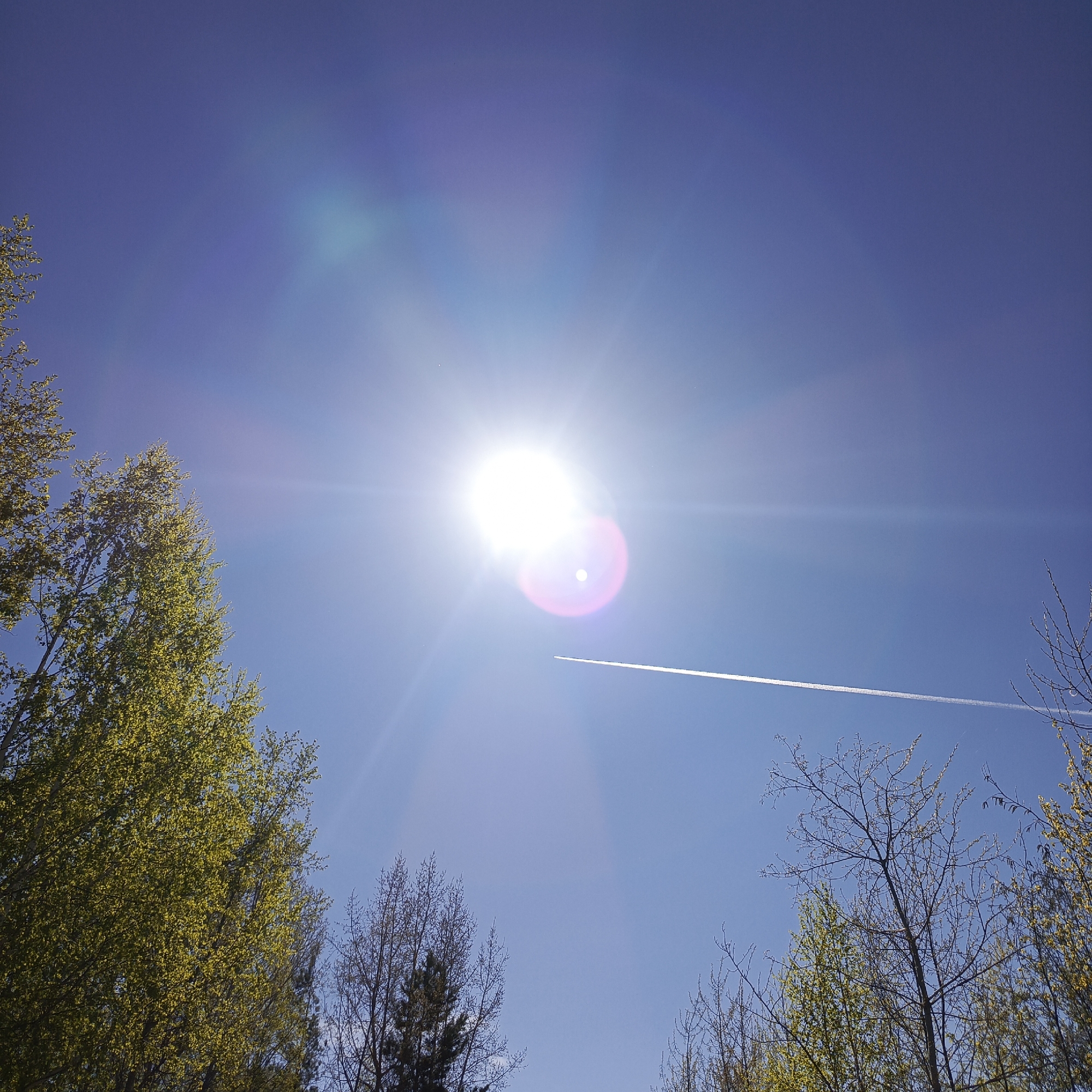 The image depicts a bright, sunny day. The sun is high in the sky, causing a strong lens flare effect. A contrail stretches across the blue sky, likely from a passing aircraft. Trees are visible along the bottom edge and sides of the frame. The leaves of the trees are a vibrant green, suggesting spring or early summer. The image does not contain specific details allowing for the identification of the city of Chaikovsky, Russia, nor does it show any people, actions, or interactions.