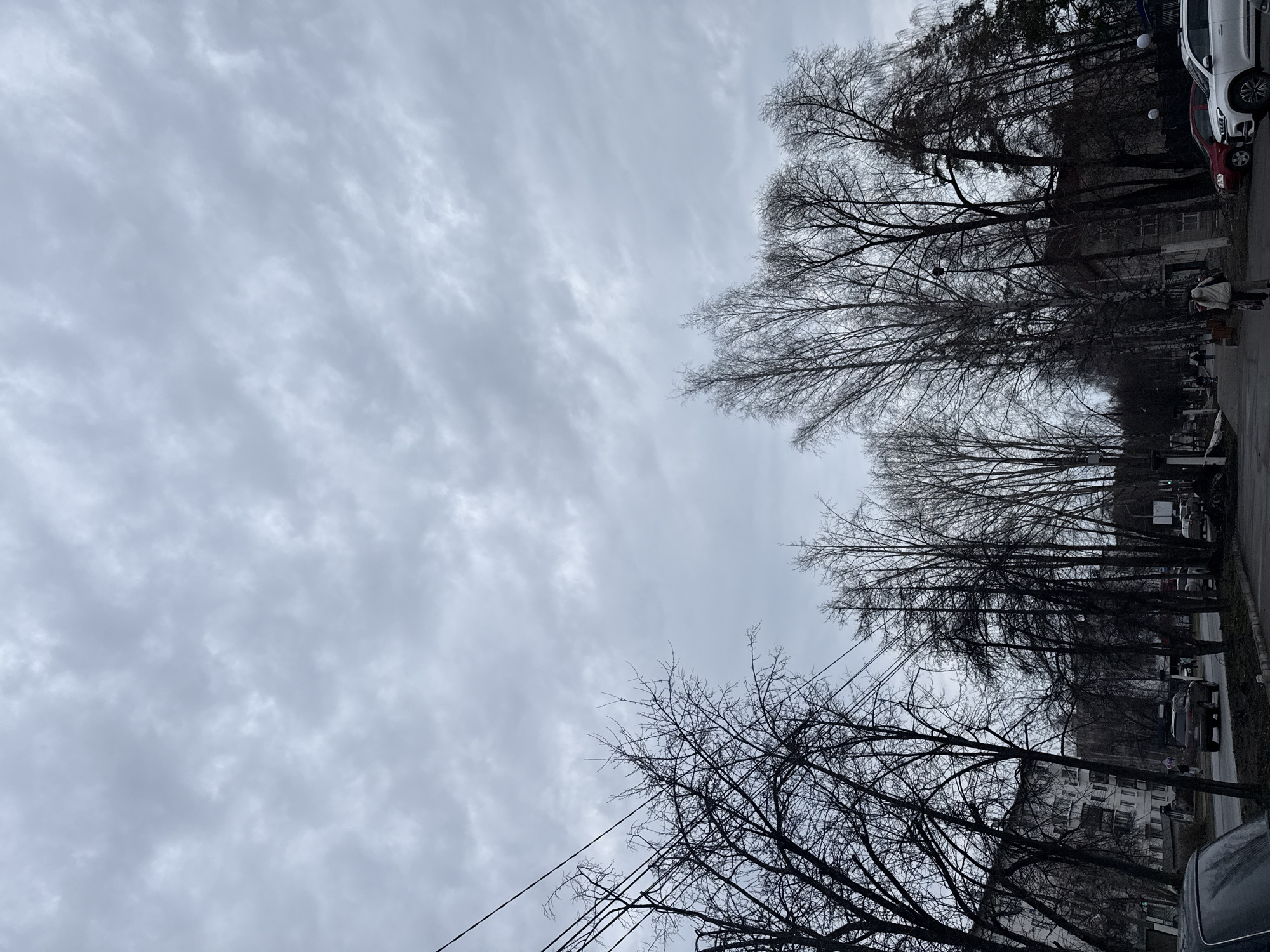 The image shows a street in an urban area, city of Unknown, Unknown, under a cloudy sky. The street is lined with bare trees. Several cars are parked along the roadside. A person is walking on the sidewalk in the distance. Power lines are visible in the foreground.