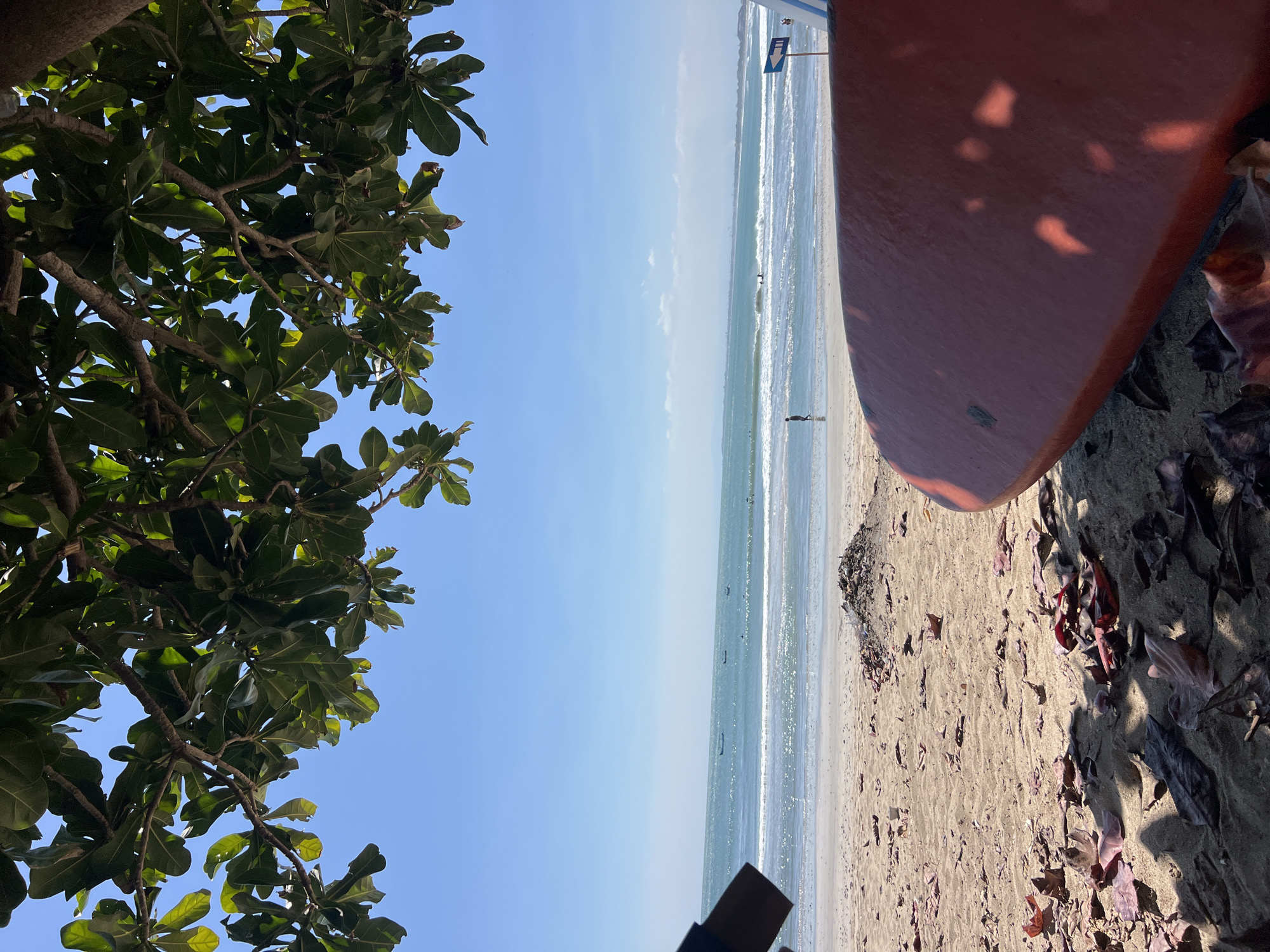 The image depicts a serene beach scene in Kuta, Indonesia, on a clear, sunny day. The foreground is dominated by a vibrant red surfboard, partially obscuring a sandy beach strewn with dry leaves. In the mid-ground, a person walks along the shoreline, with gentle waves lapping at the sand. Several small boats are visible on the horizon, dotting the calm, blue ocean. Overhead, the lush green canopy of a tree provides a natural frame, casting dappled shadows on the scene below. The clear blue sky stretches across the upper portion of the image, creating a tranquil and idyllic atmosphere.