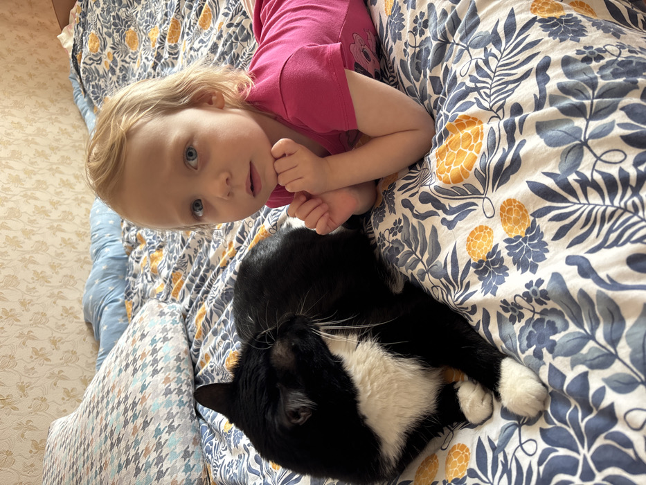 The image displays a young blonde-haired child and a black-and-white tuxedo cat positioned side-by-side on a bed within a room in Chaikovsky, Russia. The child, with fair skin and blue eyes, is wearing a pink short-sleeved top. They are lying prone, propped on their forearms, with hands clasped beneath their chin, gazing directly forward. The tuxedo cat lies to the child's left, its body facing away from the camera, with its head turned sharply to its left. The bed is covered by a duvet or sheet featuring a pattern of blue foliage and yellow geometric motifs on a white background. A large pillow with a grey, white, and brown houndstooth-like pattern is visible to the left, partially obscured by the cat. A light blue bolster pillow is partially visible behind the child's head, further back on the bed. The wall behind the bed is covered with light-toned wallpaper displaying a subtle floral or textured pattern.