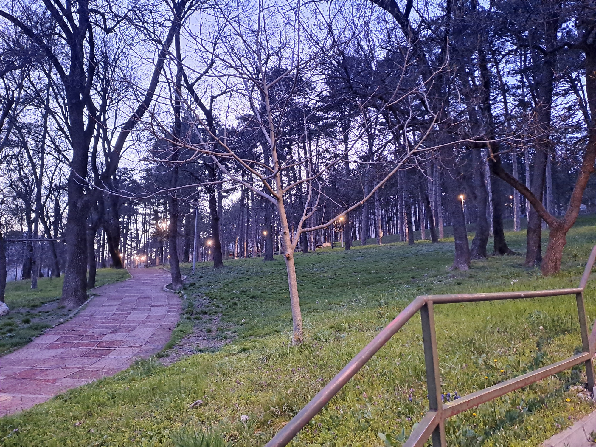 The image depicts a park scene, possibly in Veliko Tarnovo, Bulgaria. A paved brick pathway curves through the landscape, lined with mature trees, some with bare branches. Beyond the path, the park ascends a grassy slope, dotted with more trees, suggesting a forested area. In the foreground, a metal railing borders the grassy area. The lighting suggests either early morning or late evening. No people are visible in the frame. Small lights are visible further up the slope.