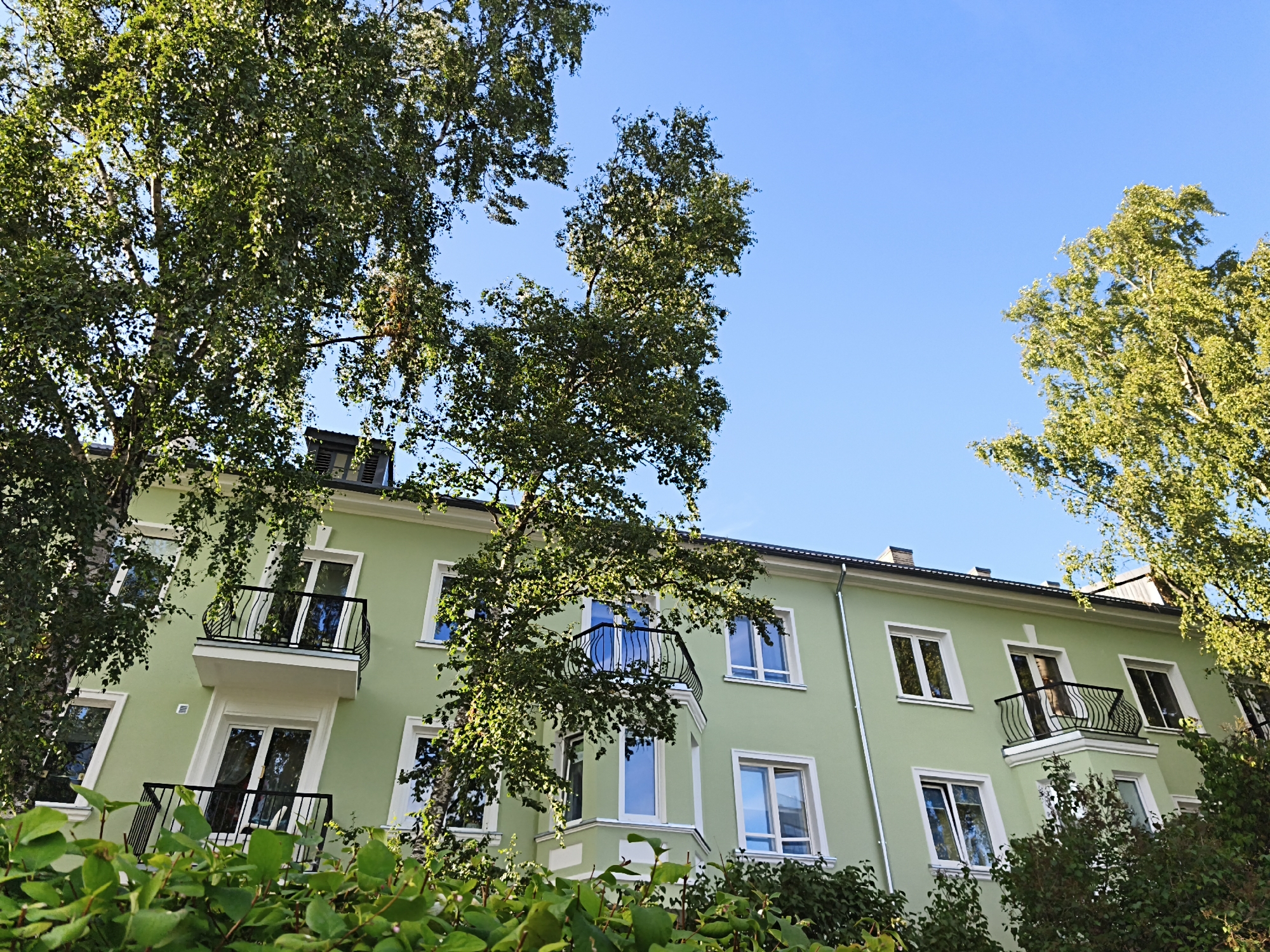 The image shows the facade of a light green apartment building, seen from a low angle looking upwards. The building has multiple windows with white frames and a few balconies with black railings. Trees with green leaves are in the foreground and partially obscure the building. The sky above is clear and blue. The building appears to be in a residential area of Tallinn, Estonia, likely in a neighborhood with mature trees. No people are visible in the image.