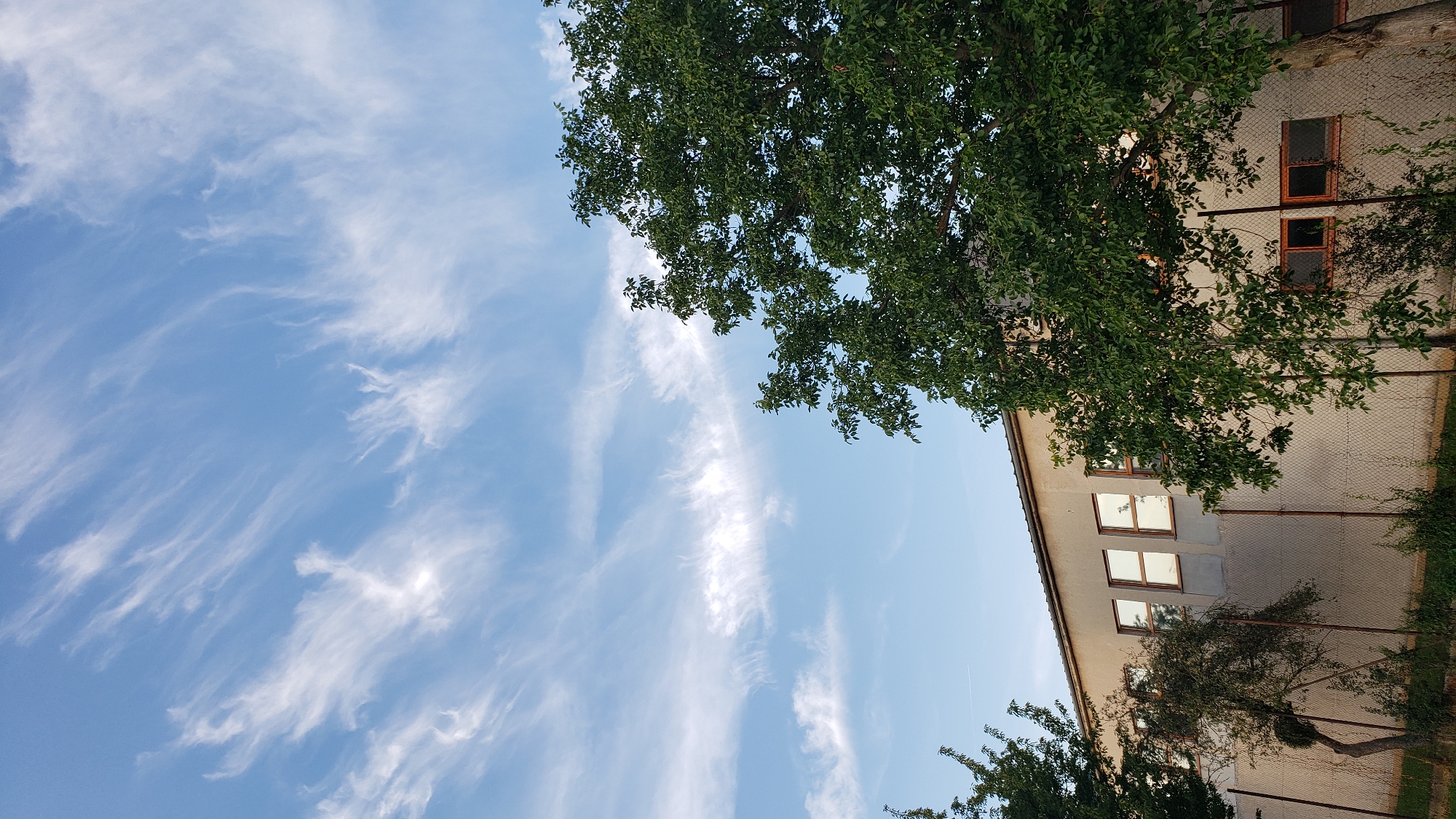 The image captures a clear blue sky with wispy white clouds, possibly cirrus formations, dominating the upper half. Below the sky, a light-colored, somewhat weathered building with several rectangular windows is visible. Some of the windows appear to have reflective surfaces, suggesting they are glass panes. The building is partially obscured by the dense green foliage of mature trees in the foreground. A chain-link fence runs along the base of the building, separating it from a grassy area with some sparse vegetation and smaller trees. The overall scene suggests an exterior view of an industrial or institutional building on a bright day, with ample natural light. The location is not specified within the image itself.