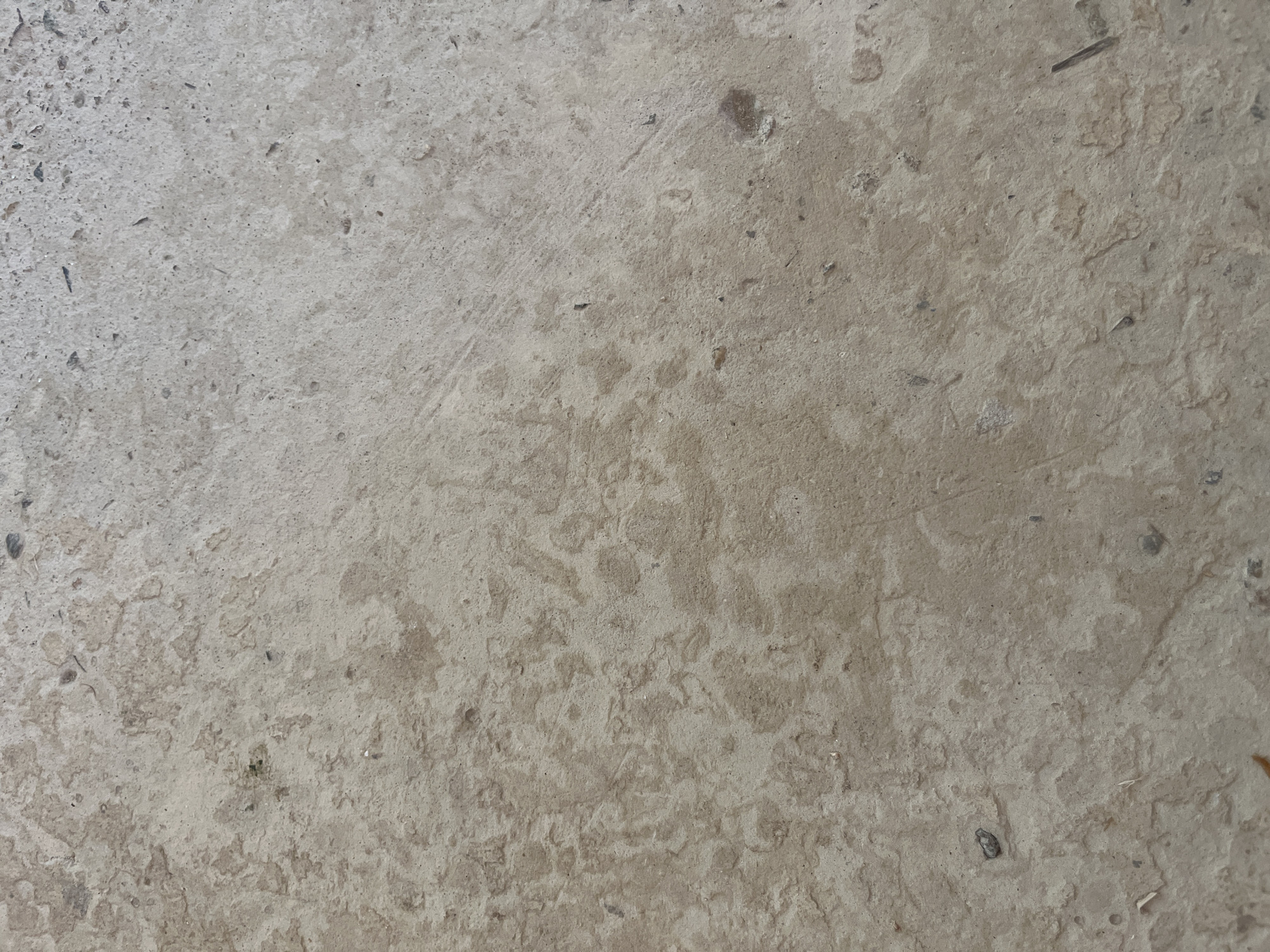 This is a close-up, overhead view of a textured concrete surface. The concrete is a light, neutral gray with subtle variations in tone, suggesting a somewhat aged or weathered appearance. The surface is not perfectly smooth; it has a granular texture with small pits and bumps. Scattered across the surface are darker specks and small pieces of debris, such as tiny stones or fragments of organic material, some of which appear to be thin and elongated like slivers of wood. The lighting suggests it is daytime, with no strong shadows indicating a specific time of day or particular weather conditions. The lack of any distinct features or objects in the frame makes it difficult to determine a specific location or context beyond it being an outdoor or indoor concrete surface. There is no discernible activity or event taking place, as the image focuses solely on the texture and composition of the material. No text is visible within the frame.