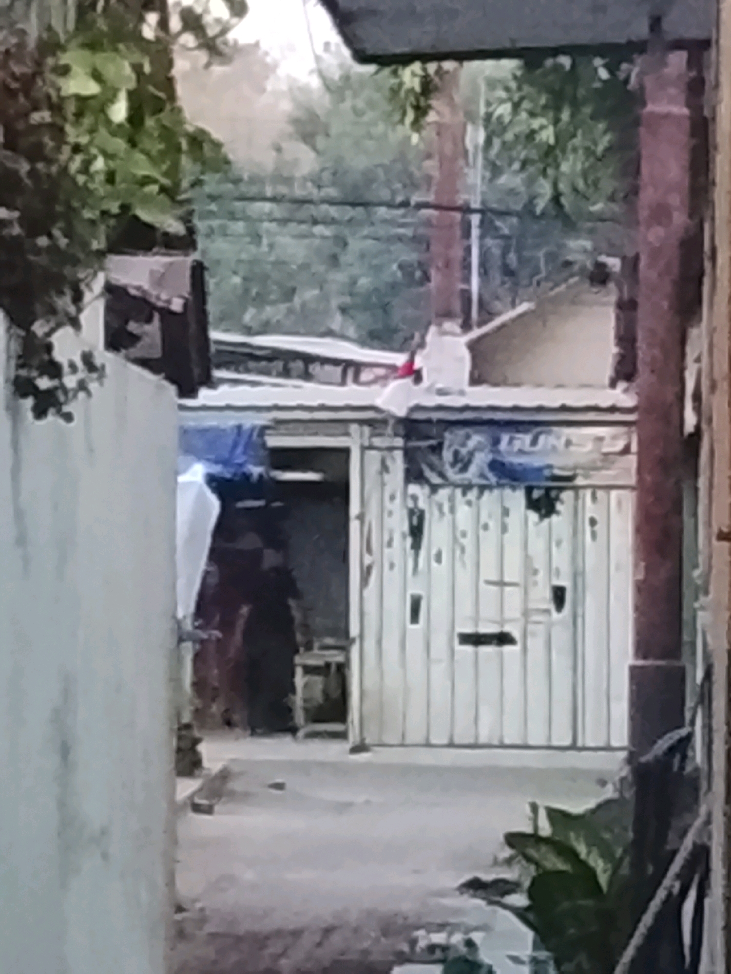 The image depicts a narrow outdoor alleyway in what appears to be a residential area. On the left, a pale, textured wall forms the boundary of the alley. Beyond this wall, overgrown green foliage is visible. To the right, a large, reddish-brown cylindrical post stands vertically. Further into the alley, a white garage door with vertical paneling is prominent. The door shows signs of wear and tear, with some sections appearing chipped or damaged. Above the garage door, a section of a roof with corrugated metal is visible, partially covered by blue tarpaulin. To the left of the garage door, there is an opening leading into a darker interior space. Inside this opening, a small stool or chair can be seen. A white sheet or fabric is draped over something within this space. In the foreground on the right, a cluster of large green leaves from a plant emerges. The ground of the alley is a rough, light-colored surface, possibly concrete or dirt. The overall scene suggests a functional, perhaps somewhat neglected, outdoor area within a built-up environment. There are no discernible people in the image. The image is grainy and out of focus, making precise identification of smaller details difficult.