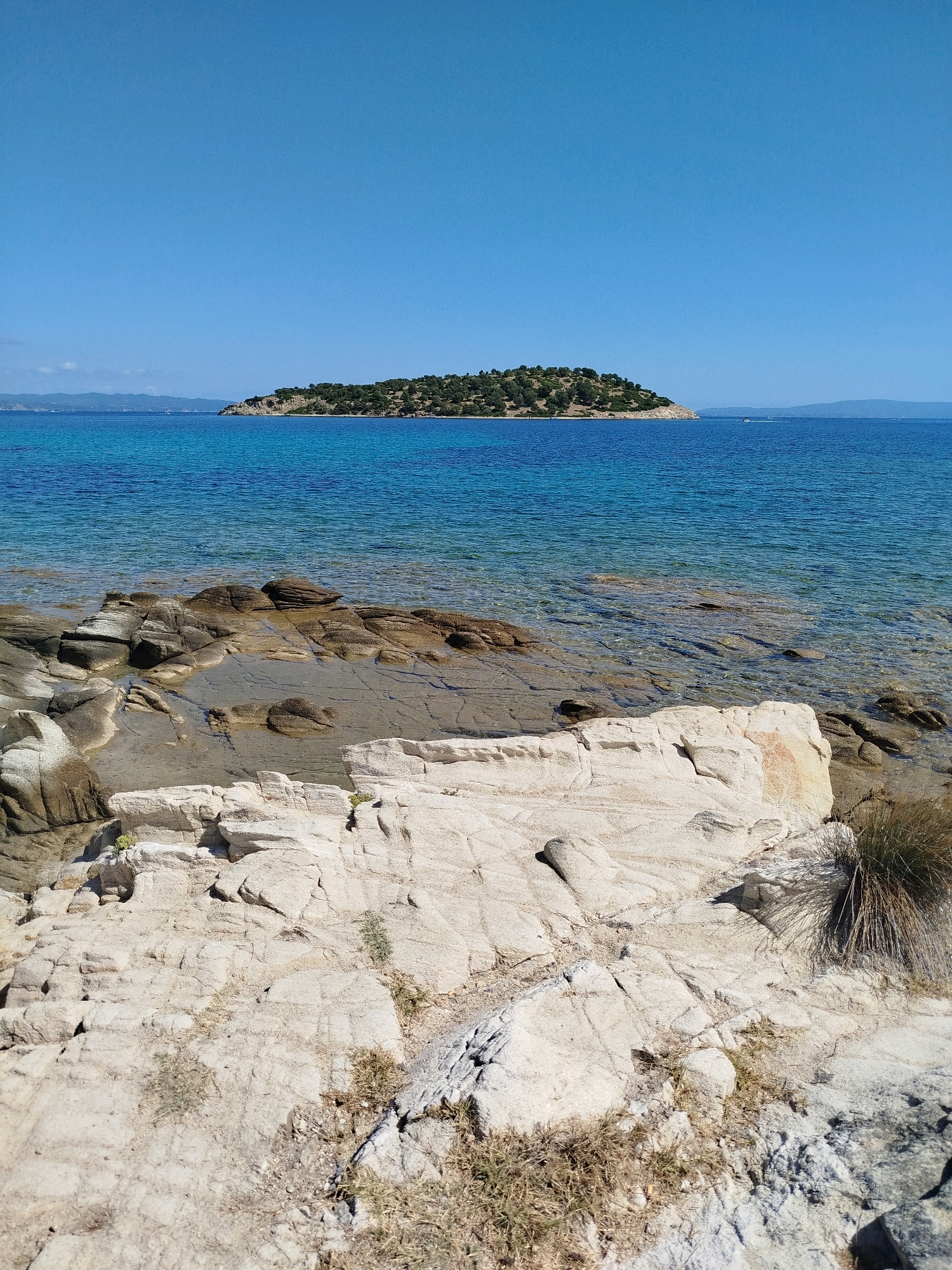 The image depicts a clear, sunny day at the coast, likely in Sithonia, Greece, given the characteristic landscape. In the foreground, a rocky shore is visible, with large, light-colored boulders and smaller, darker rocks scattered around. Some of these rocks are partially submerged in the shallow, clear turquoise water, revealing the seabed beneath. Sparse, dry vegetation, like tufts of grass, grows between the rocks.
Beyond the immediate shore, the tranquil sea stretches out towards a small, tree-covered island in the mid-distance. The island is lush with green vegetation and appears to be uninhabited. The water is a vibrant blue, transitioning to a deeper shade as it recedes towards the horizon. In the far distance, the faint outlines of a mainland coast or larger islands can be seen under a clear, vast blue sky. The overall scene conveys a sense of peaceful, natural beauty.