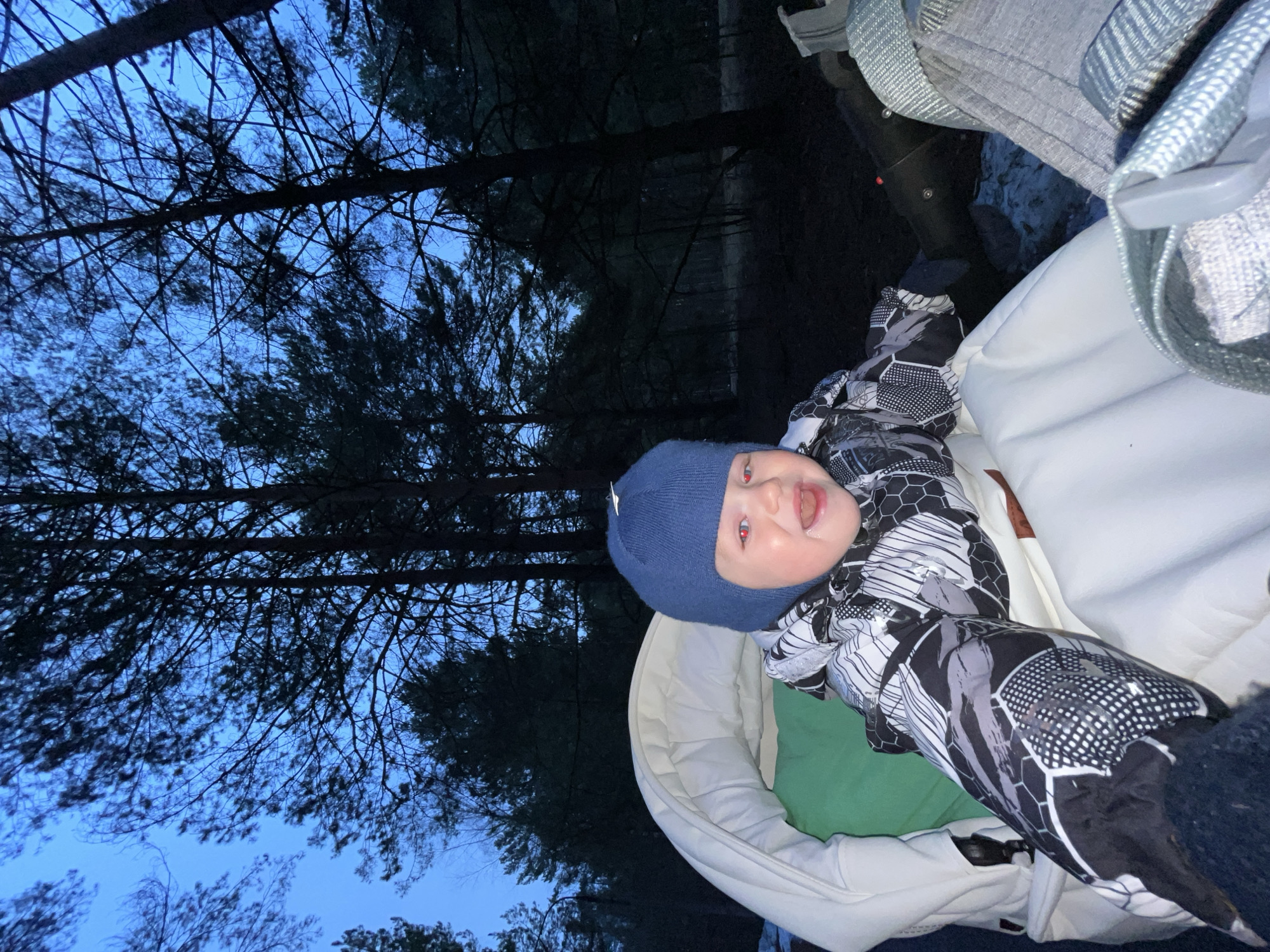 A baby wearing a blue beanie and a black and white patterned snowsuit is lying in a stroller. The stroller is in an outdoor setting with tall, dark trees visible in the background. The sky is a dusky blue. The location is likely Chaikovsky, Russia, although this is only stated in the prompt and cannot be verified from the image itself.