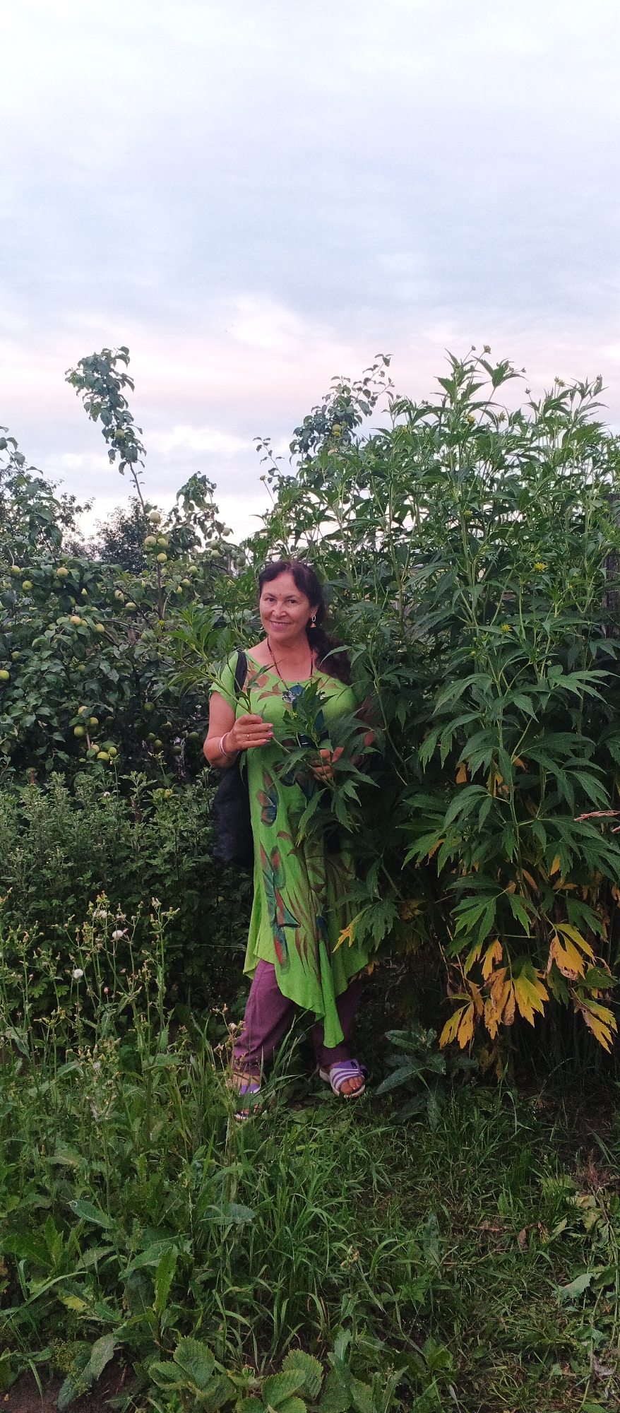 A woman stands in a garden surrounded by lush green foliage. She is wearing a vibrant lime green tunic with a colorful painted design of butterflies and flowers, and purple leggings. Her dark hair is pulled back, and she is smiling warmly at the camera. In her right hand, she holds a sprig of green leaves. She appears to be enjoying the outdoors.
Behind her, an apple tree laden with green apples is visible, alongside tall, leafy plants that dominate the right side of the frame. The ground is covered in thick grass and wildflowers, suggesting a natural, untamed environment. The sky above is a soft blend of blue and pink, indicating either sunrise or sunset, and the lighting suggests it's late afternoon or early evening. The overall atmosphere is peaceful and serene, capturing a moment of connection with nature.