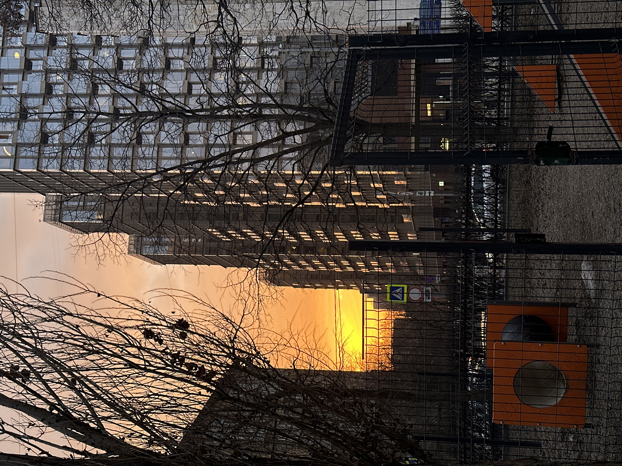 The image depicts an urban street scene in Moscow, Russia, at sunset. In the immediate foreground, a black metal mesh fence encloses a section of a dog park. Within this enclosure, an orange, cylindrical tunnel structure with circular openings and subtle paw print motifs is visible to the left. To its right, two smaller orange triangular elements, likely also dog park equipment, are present. The ground within the fenced area consists of gravel and bare earth.
Beyond the fence, a street is partially visible, with multiple vehicles discernible. On the far left, an older, multi-story building with a darker, less reflective facade is partially obscured by the silhouettes of leafless trees. The central and right portions of the background are dominated by modern high-rise buildings. The most prominent structure is a tall building featuring a repetitive pattern of square, reflective glass windows, which are intensely illuminated and reflect the low-angle, orange-yellow light of the setting sun on its rightward facade. A second, similar modern building is situated further behind it.
A distinct gap between the buildings reveals the horizon, bathed in a vivid gradient from intense yellow at the lowest point to softer orange and pink tones higher up, confirming a sunset. Visible street signage includes a Russian pedestrian crossing sign (a blue square with a white triangular inset depicting a pedestrian) and a "No Stopping" sign (a red circle with a blue background and a red diagonal bar). The overall environment indicates an urban residential area during a season without foliage. The location is identified as the vicinity of the **Presnya City residential complex, specifically around Presnensky Val, 21, Moscow, Russia.**