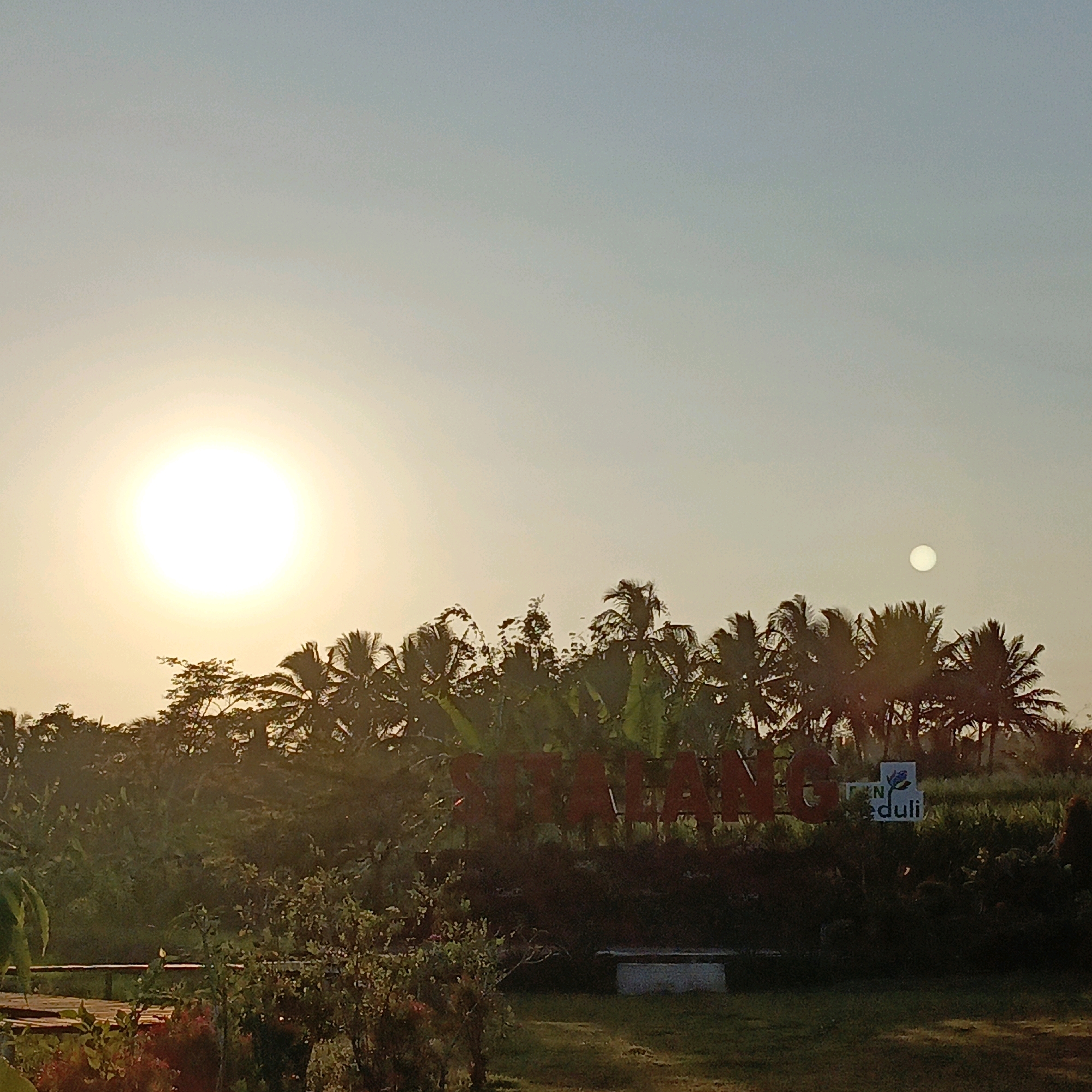 The image captures a sunset or sunrise scene in Salatiga, Indonesia, with a prominent sun in the upper left quadrant, casting a warm glow. The foreground features lush greenery and trees, including palm trees silhouetted against the sky. In the mid-ground, a sign with large red lettering is partially visible, appearing to spell "SALA..." and then "TIGA" to the right, followed by a smaller sign with a rose logo and the word "duli". The overall atmosphere is serene and natural, typical of a rural or park setting on the outskirts of Salatiga. The sky transitions from a bright yellow near the sun to a pale blue at the top, indicating either the beginning or end of the day. There are no people or animals visible in the frame. The environment suggests a tranquil outdoor space.