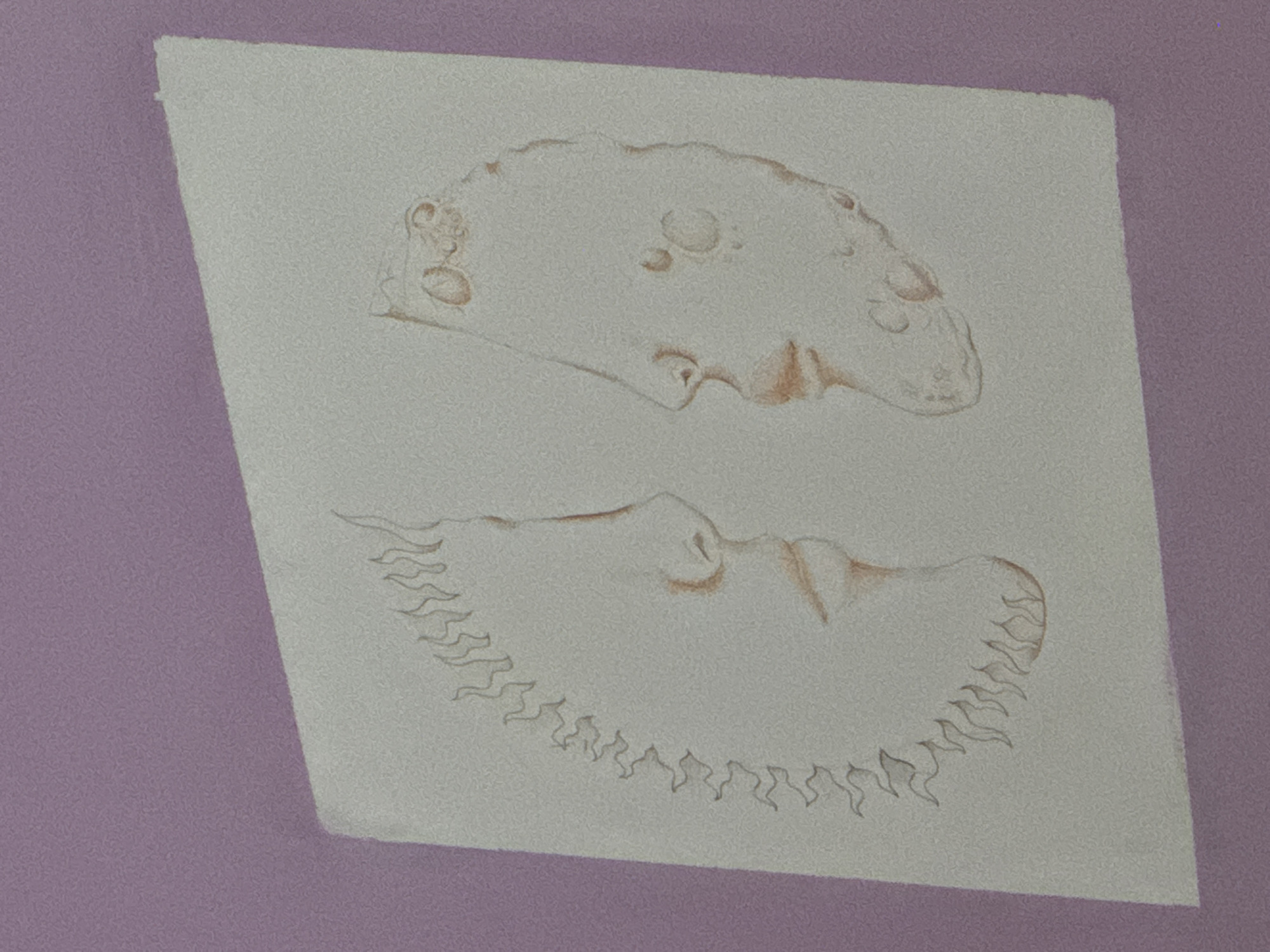The image shows a drawing on a piece of paper. The paper is off-white and has two separate drawings on it, one above the other. The top drawing is a somewhat amorphous shape, with several circular features and what appears to be a profile of a face. The bottom drawing is a half-moon shape with jagged edges. Both drawings are rendered in a light brown color. The paper is against a lavender or light purple background. There is no indication of a specific location in Castelnuovo di Porto or any indication of people, subjects, objects, actions, or interactions, beyond the drawings on the paper and the background.