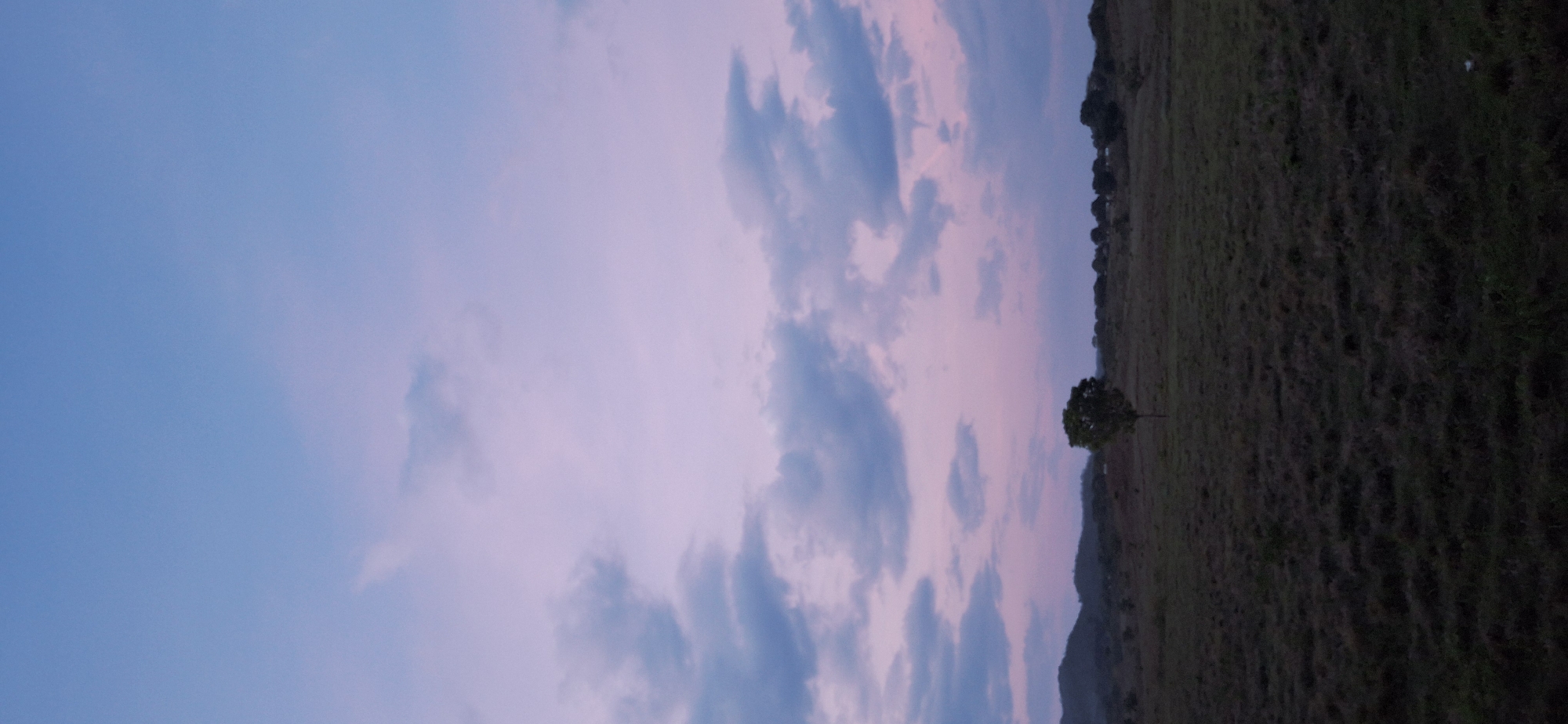 The image shows a landscape at dusk. The sky transitions from a light blue on the left to a pinkish-purple hue towards the right, with scattered greyish-blue clouds. On the right side of the frame, there is a dark, grassy hillside with a lone tree standing out. The terrain appears uneven and rises slightly towards the top right corner. Based on the prompt, the location is purportedly Vallecito, Venezuela, but the image itself does not offer specific indicators to confirm the exact location.