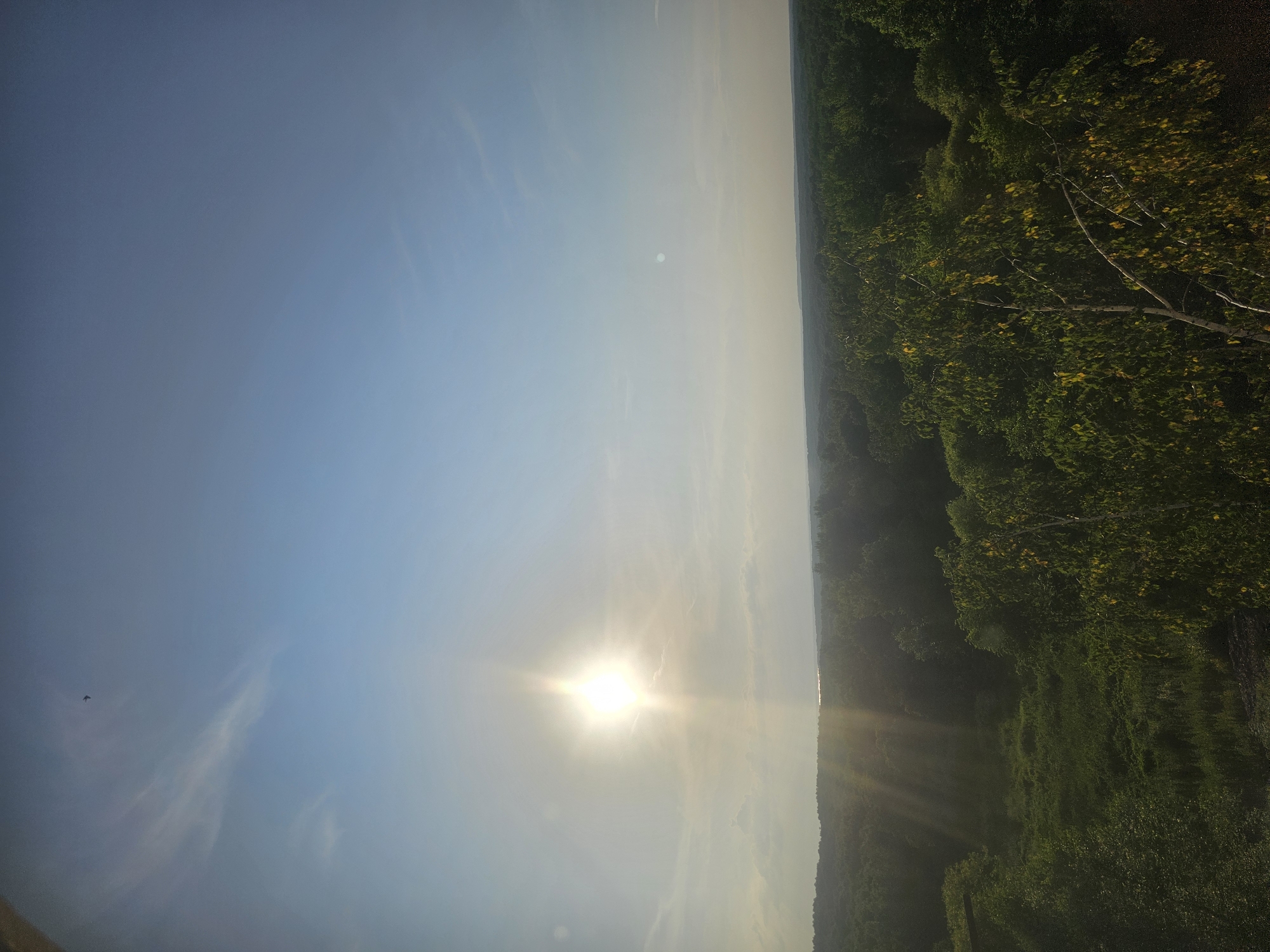 The image depicts a panoramic view of a dense forest landscape under a bright, clear sky. The sun is positioned in the upper left quadrant of the image, casting strong rays that create a lens flare effect and illuminate the scene with a warm, golden light. Wispy clouds are scattered across the sky, and a small bird is visible in the upper center. The forest stretches out to the horizon, with varying shades of green indicating different types of trees and vegetation. In the foreground, closer trees are more detailed, with some showing hints of yellowing leaves. The overall impression is one of a vast, natural expanse bathed in the late afternoon or early morning sun. The image is taken from an elevated vantage point, likely a hill or a tall structure, offering a sweeping view of the surrounding wilderness. There are no people or man-made structures clearly visible within the immediate landscape, suggesting a remote or undeveloped area. The natural environment is the sole focus of the image.