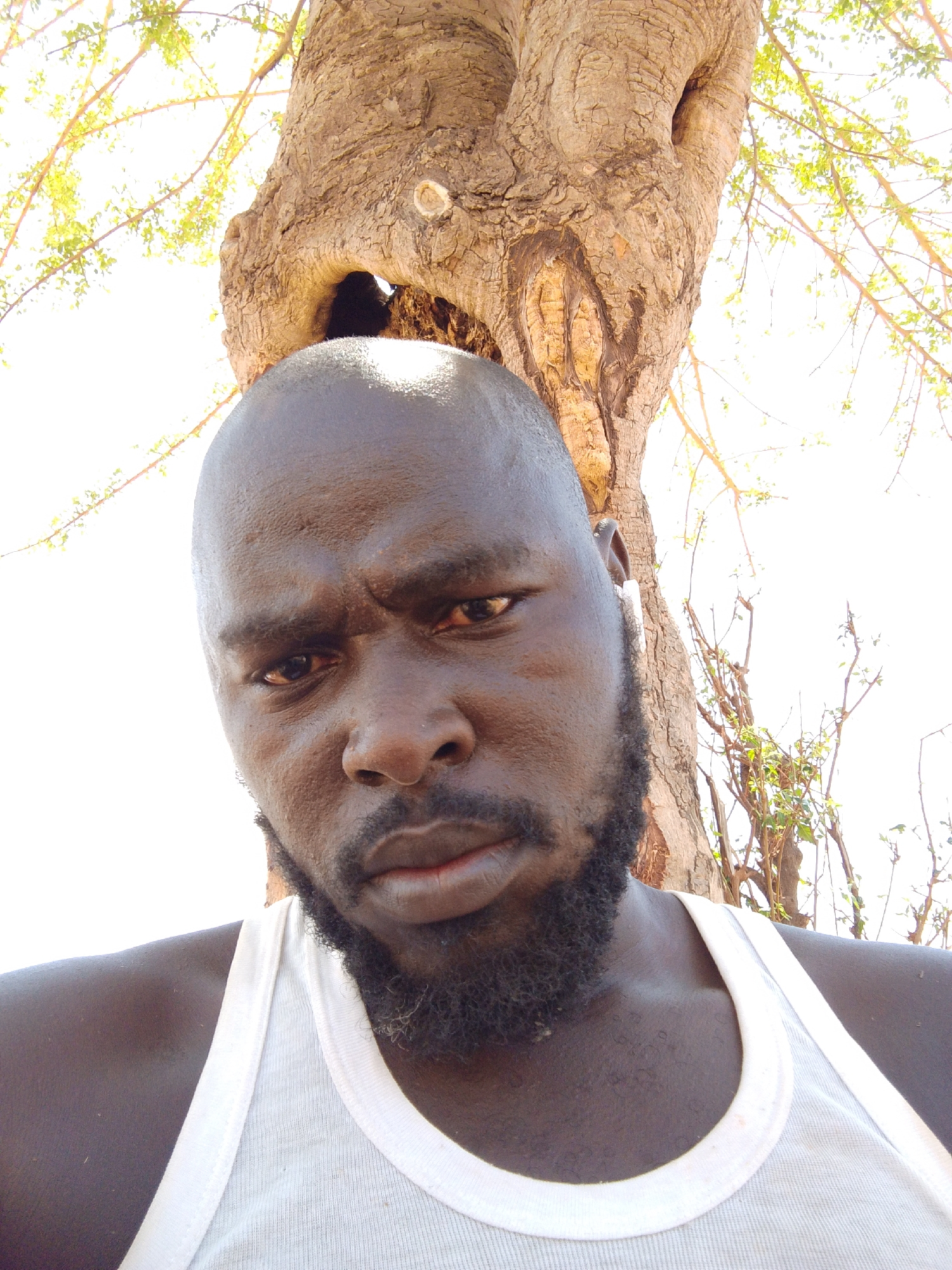 The image is a selfie of a dark-skinned bald man with a full black beard, wearing a white tank top. He has a serious expression with furrowed brows. Behind him is a large, thick tree trunk with a hole in it. Branches with sparse leaves are visible in the background. The location is Mulke Barikin Sayejo, Nigeria. The overall lighting is bright.