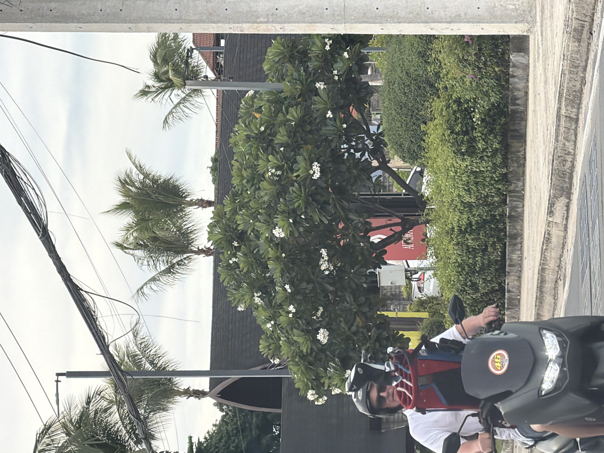 This media file shows a person riding a scooter in Baan Bo Phut, Thailand. The rider is wearing a helmet and sunglasses and a white t-shirt. The scooter is dark in color with a red and blue rack on the back. In the background, there are palm trees, a frangipani tree with white flowers, and lush green bushes. A dark-colored building with a sloped roof is also visible. The sky is overcast, suggesting it might be a cloudy day. The scene appears to be a street or road, possibly in a tropical or subtropical location given the vegetation. There is visible text on a sign in the background that reads "AT&JR" and a sticker on the scooter with the number "46" inside a yellow circle. The overall mood seems casual and everyday.