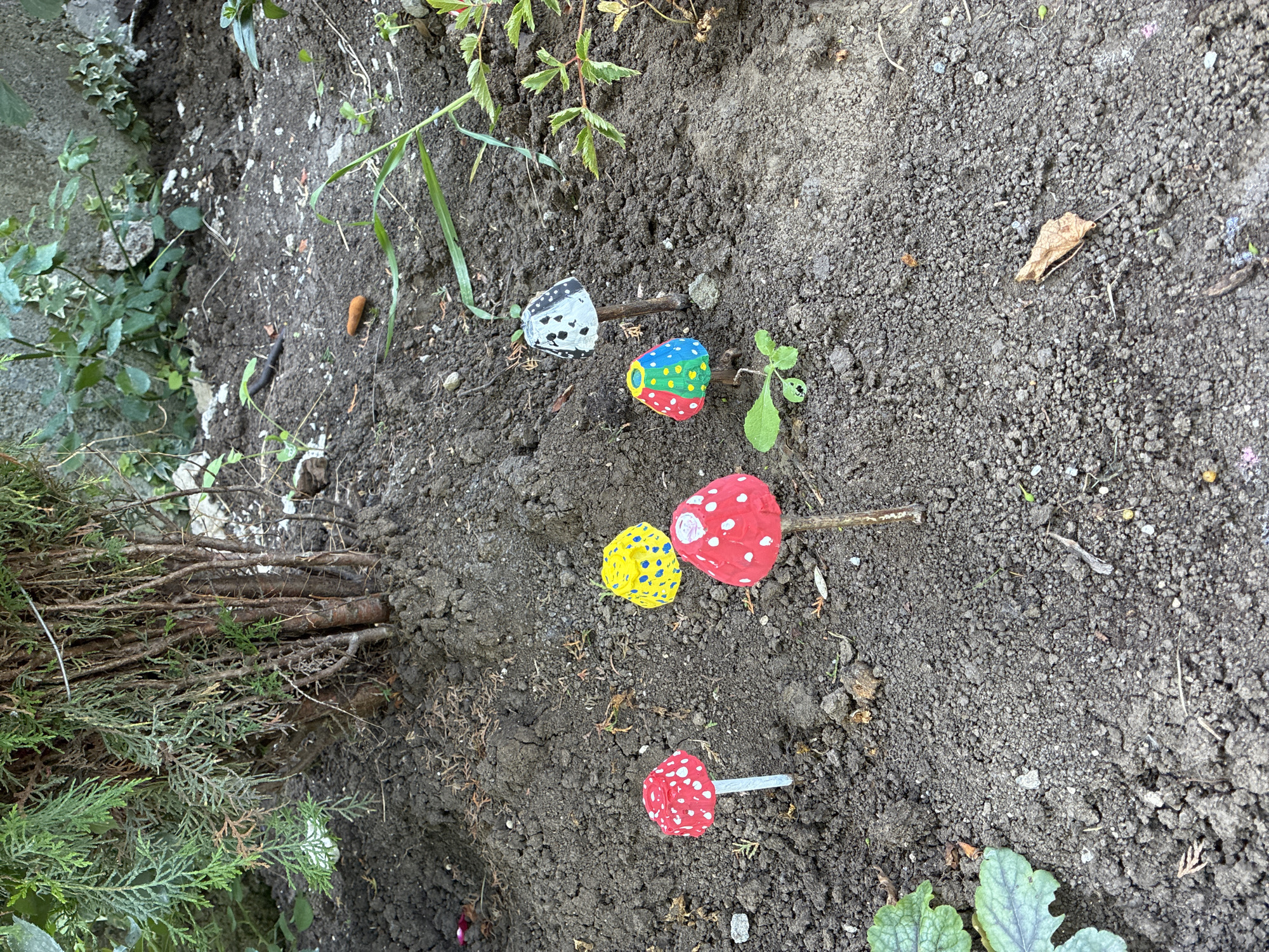 This is a close-up, eye-level, outdoor, daytime photograph of a garden in Surami, Georgia. The foreground is dominated by dark, loamy soil, sparsely populated with small green plants and fallen brown leaves. Scattered across the soil are five decorative garden ornaments shaped like mushrooms. One mushroom, on the far left, is red with white spots and has a thin, silver stem. To its right, a yellow mushroom with blue spots stands. Further to the right, another red mushroom with white spots rests on a thin brown stem. Next to it, a mushroom with a red cap divided into sections of green and blue, each section dotted with yellow spots, is visible. Finally, on the far right, a mushroom with a white cap adorned with irregular black spots is present. In the background, the base of a dense green shrub or small tree is visible, its branches and brown stems reaching upwards. The ground behind the shrub is also dark soil, with some scattered debris and a concrete wall with green foliage growing on it. The scene appears to be a quiet, decorative garden setting.