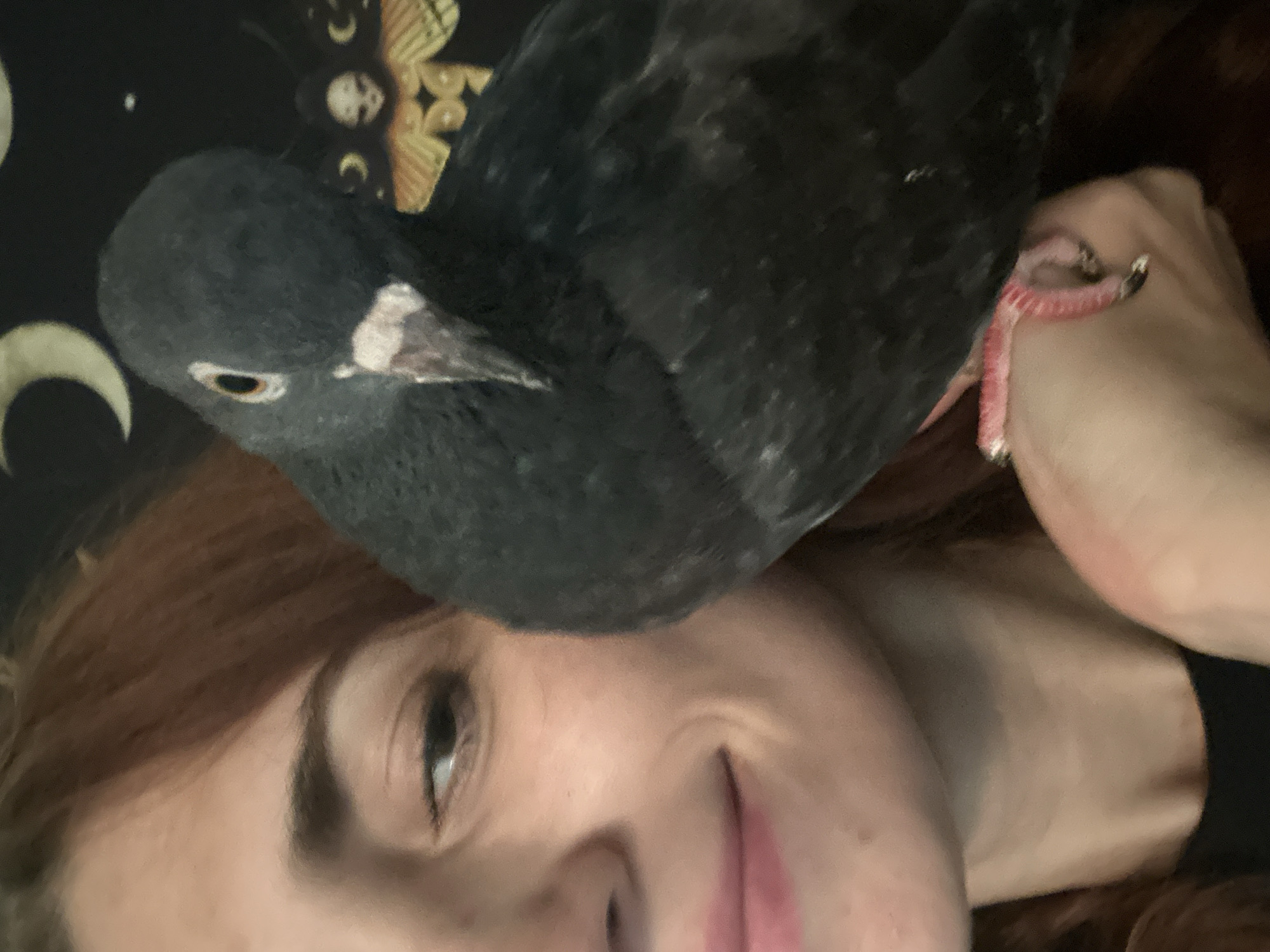 A woman with auburn hair is pictured in a close-up selfie, with a dark-feathered pigeon perched on her hand and arm, its body obscuring much of her face. The woman is smiling, with her left eye visible and looking towards the camera. Her lips are parted, revealing a hint of her teeth. The pigeon's head is turned towards the camera, its eye visible. Behind them, a dark tapestry is visible with celestial motifs, including a crescent moon and what appears to be a moth with skull-like features. The image was captured in Togliatti, Russia.