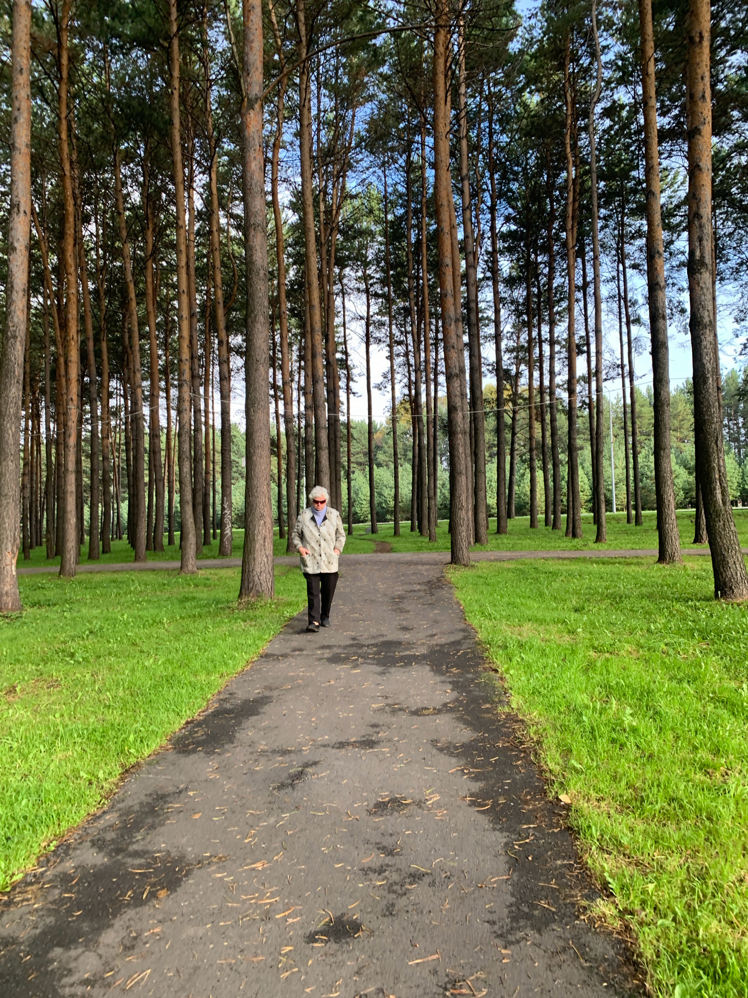 An elderly Caucasian woman with short, white hair, wearing a patterned light-colored jacket, dark pants, and sunglasses, is walking on a paved path through a park in Prokopyevsk, Russia. She is the sole visible human subject in the frame and is positioned in the middle of the path, walking away from the viewer. The path is bordered by a lush green lawn on both sides and flanked by a dense forest of tall, slender pine trees. The sky above is partly cloudy and a light blue. The ground on the path is dark asphalt with scattered pine needles and small debris. The overall scene depicts a peaceful, natural setting within an urban environment.