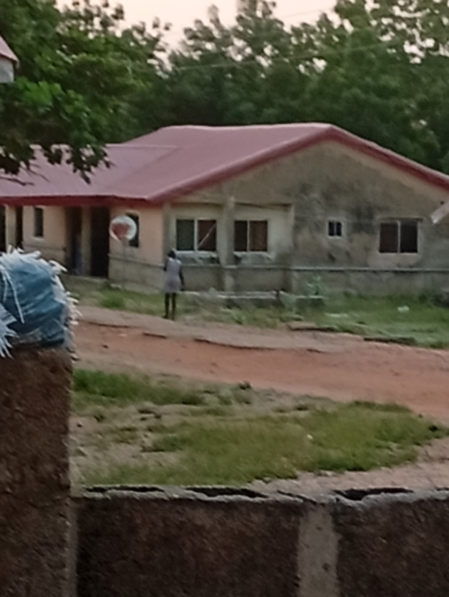 The image depicts a residential scene in Adankolo, Nigeria. A single-story building with a red roof and gray exterior is visible in the background. A person is walking away from the building. A dirt road leads to the house, with patches of grass on either side. A stone or brick structure is visible in the foreground, partially obscuring the view. Trees are present in the background. The overall impression is a modest residential area.