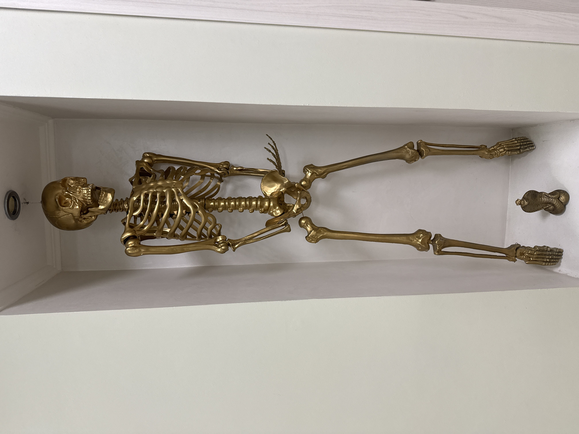 A full-body, golden skeleton display is centrally positioned within a recessed alcove of a wall. The skeleton is suspended from the ceiling, with its feet positioned above a small, golden cobra statue at the base of the alcove. The wall surrounding the alcove is painted a light, neutral color. The overall scene appears to be an indoor decorative display, likely in a private residence or a commercial establishment. The location is identified as being in the city of Khimki, Russia.