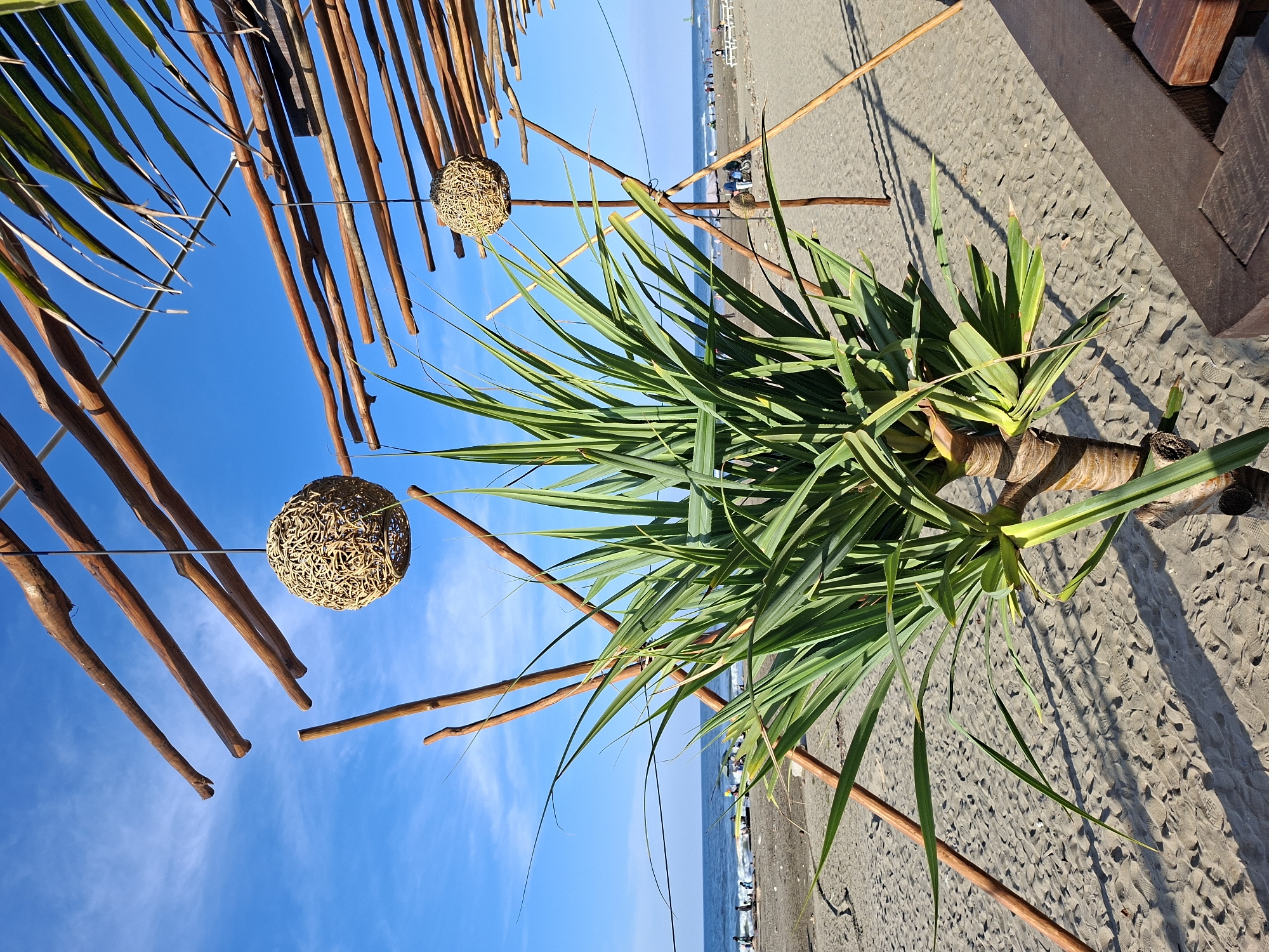 The image depicts a beach scene in Keudekruenggeukueh, Indonesia. The foreground features a Pandanus plant with long, green, sharp leaves growing out of a thick trunk on a sandy beach. In the sky, a bamboo structure is visible with two spherical wicker light fixtures hanging from it. The blue sky is partly visible through the bamboo. The beach with the beachgoers and waves on the shore is in the background. The sand appears light brown and is imprinted with numerous footprints. The wooden structure's shadow is partially visible on the sand. A beach is visible in the distance where beachgoers can be seen.