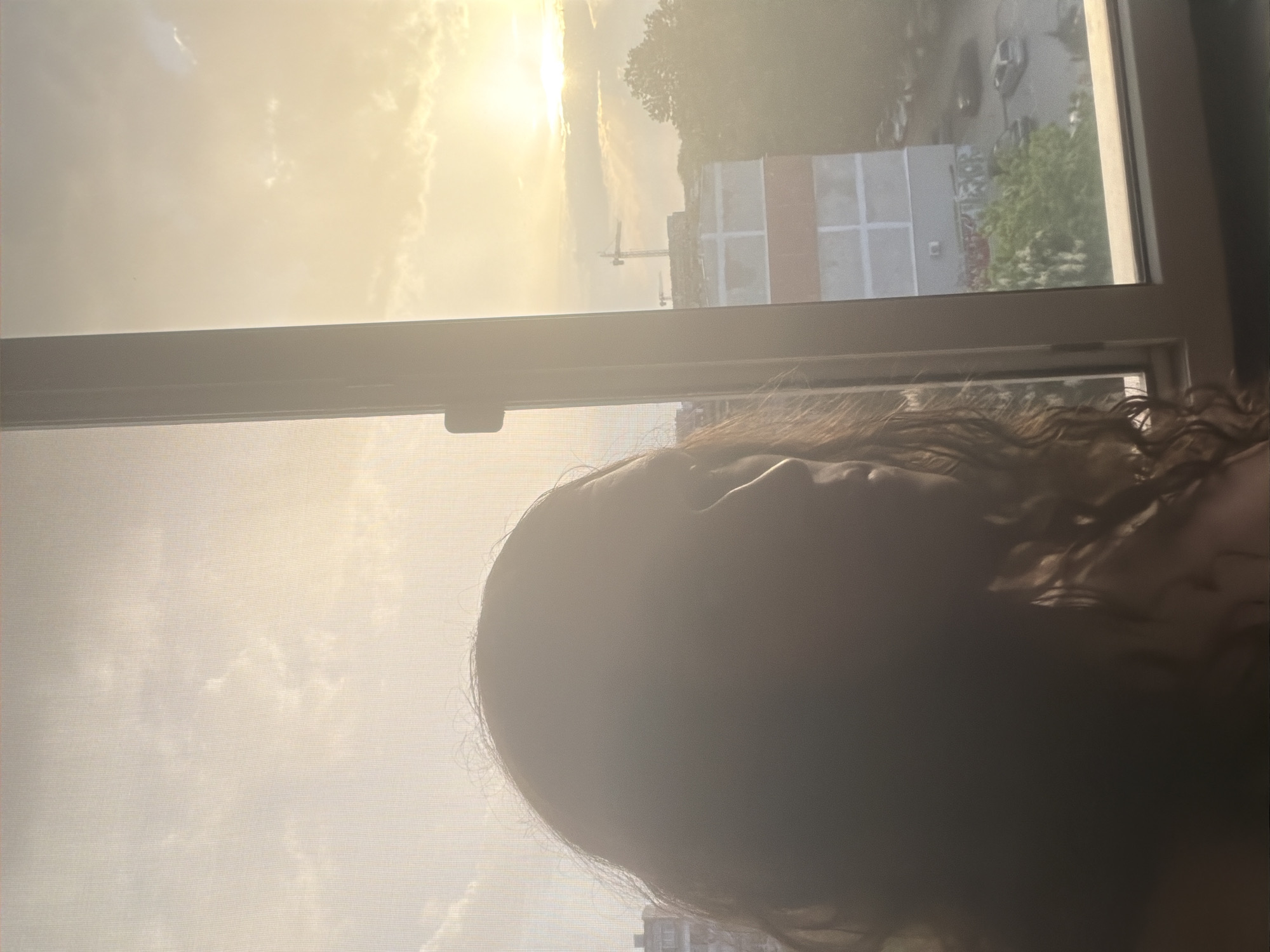 The image appears to be taken from inside a building in Plovdiv, Bulgaria, likely near a window. The lower portion of a person's face, including the nose and hair, is visible in the foreground. Through the window, a cityscape can be seen, including buildings and greenery. In the distance, there is construction machinery, possibly a crane. The sky is bright, indicating either sunrise or sunset. A window frame is visible, partially obscuring the view. The image is rotated.