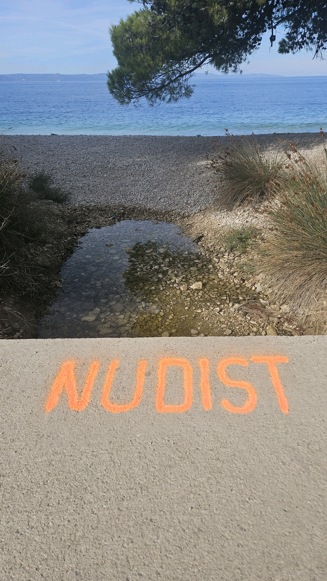 The image depicts a section of a beach with a clear blue sky and the Adriatic Sea in the background. In the foreground, on a concrete surface, the word "NUDIST" is spray-painted in orange. The beach itself is composed of small, light-colored pebbles, and there is a small pool of water with visible rocks beneath the surface. Some dry vegetation and a pine tree branch are also visible, indicating a natural, coastal environment. The scene is likely located in Općina Podgora, Croatia, known for its beaches.