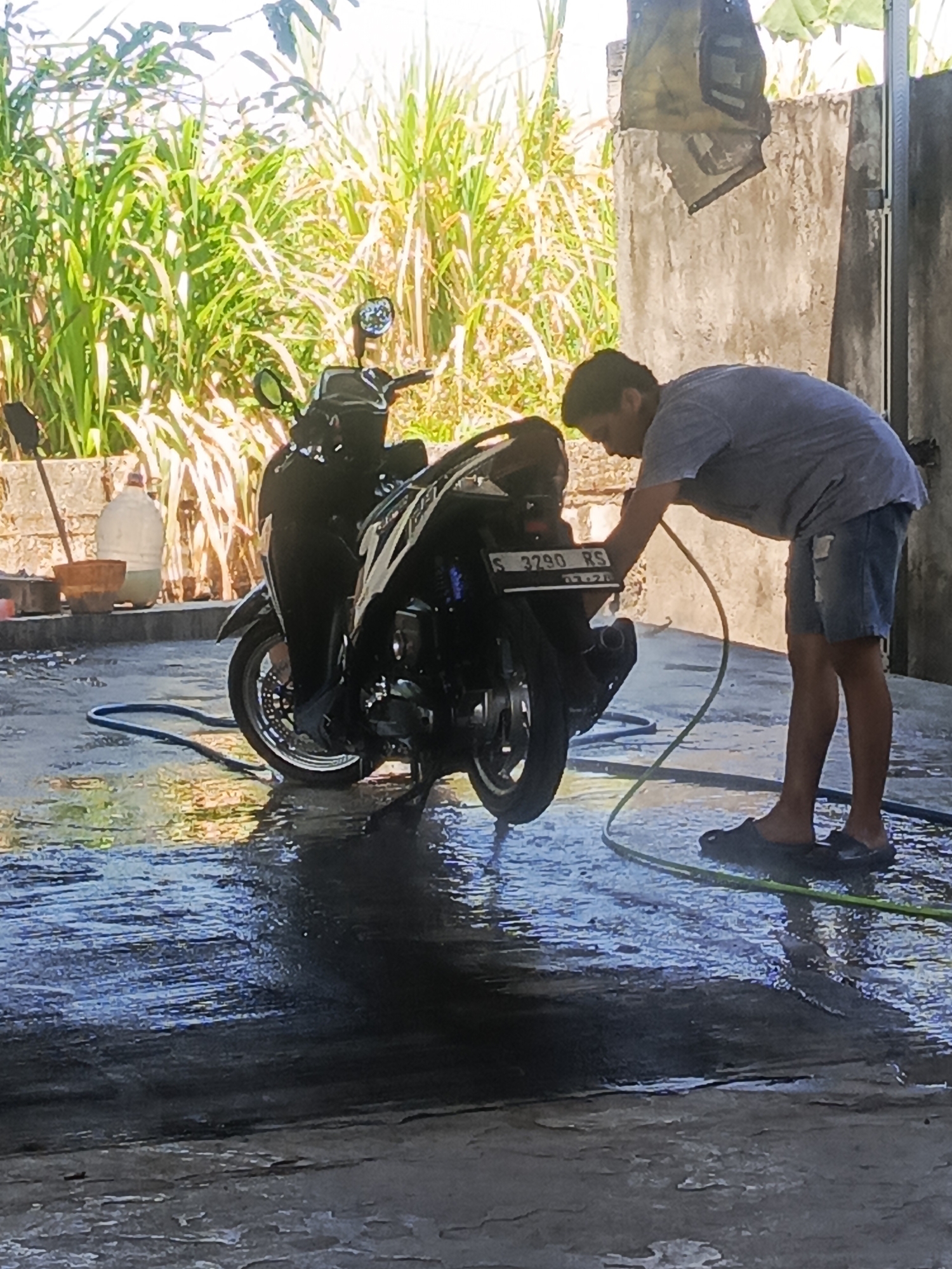In Mojotamping, Indonesia, a person is washing a black motorcycle in an outdoor area. The motorcycle is partially submerged in water on a wet, reflective surface. The person, wearing a gray t-shirt and denim shorts, is bending over and holding a green hose, directing water towards the motorcycle. Behind the motorcycle, there is a tall, dense green plant growth under a bright sky. To the right of the scene, a rough, textured concrete wall is visible. The ground is covered in a shallow layer of water, creating reflections of the motorcycle and the surrounding environment.