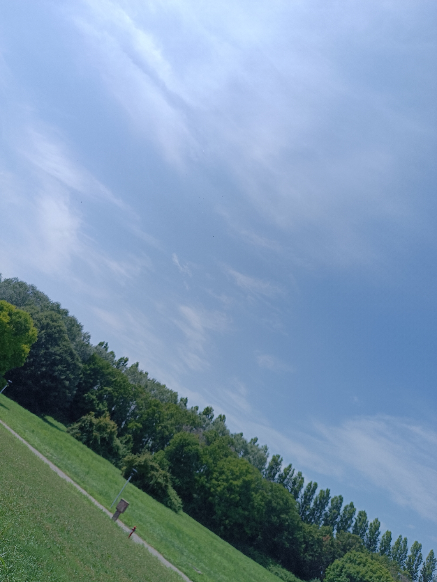 The image depicts a park-like setting with a grassy slope in the foreground, a line of trees along the middle ground, and a bright blue sky with wispy clouds in the background. The perspective is tilted, as if the camera is angled upwards and to the right. The grassy area appears to be a lawn or park, with a light-colored path cutting diagonally across it from the bottom left to the middle right. There are a few objects on the path: a dark trash receptacle and a red post or stake. The trees are lush and green, with varied foliage, forming a dense line that separates the grassy area from the sky. The sky is a clear, vibrant blue, with thin, streaky clouds scattered across its expanse. The overall impression is of a sunny day in an outdoor recreational area. The image does not provide any specific landmarks or architectural features that would allow for definitive identification of the city of Casalmaggiore, Italy. However, the scene is consistent with a public park that might be found in such a location, characterized by open green spaces and trees.