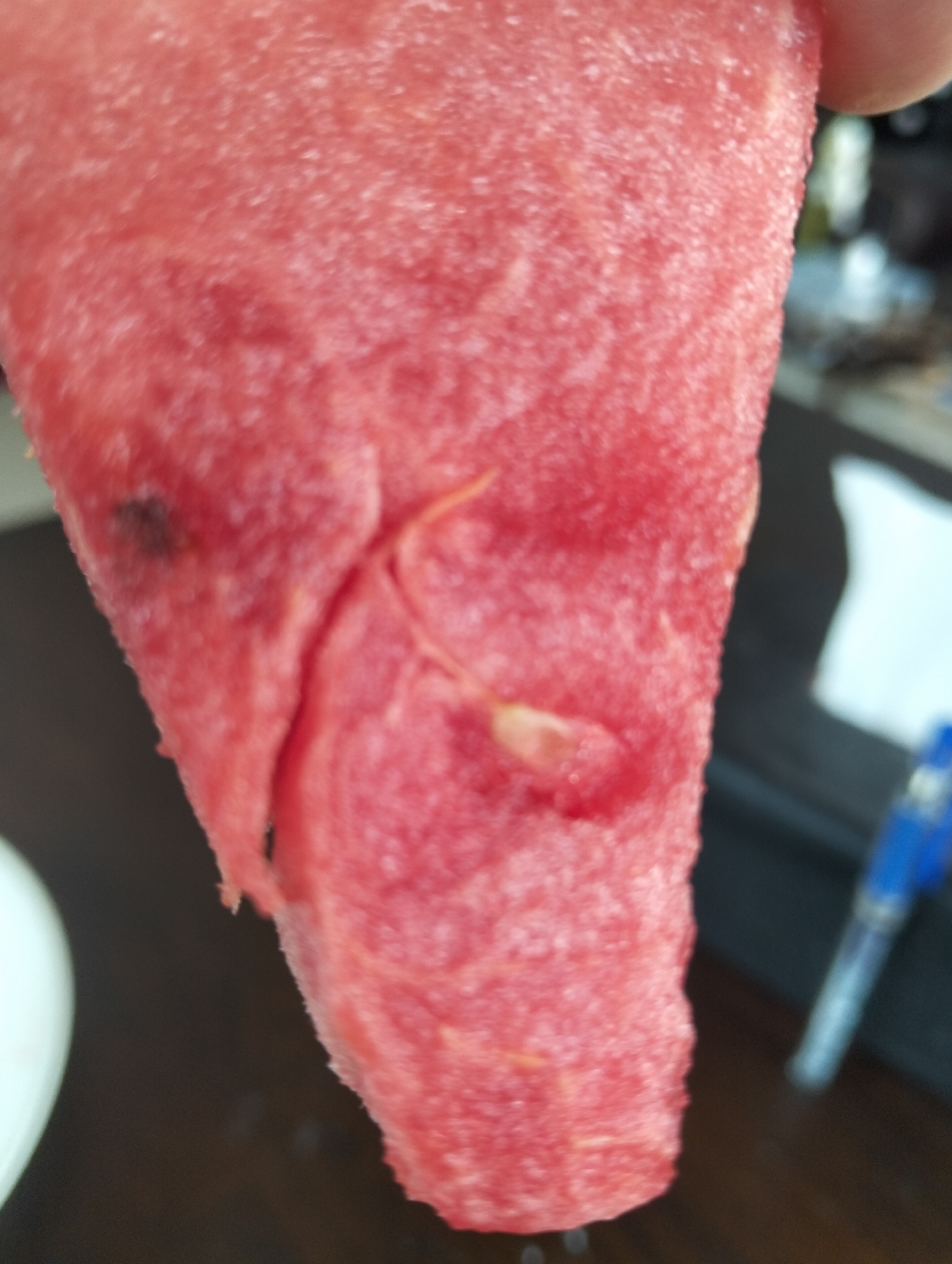 A close-up, slightly blurry, outdoor shot shows a piece of pink watermelon. The watermelon slice is positioned in the foreground, taking up most of the frame. Its texture appears granular, with small indentations visible across its surface. A few pale yellow seeds are embedded within the flesh of the fruit, and a darker, irregular spot is visible on the left side of the slice. The background is out of focus, but hints of a dark wooden surface and a white object, possibly a plate, are discernible. A blue object, possibly a pen or marker, is also visible in the blurred background to the right. The lighting suggests it is daytime, but no specific landmarks or environmental details are identifiable to confirm the location as Julicotmeurak, Indonesia. No people are present.