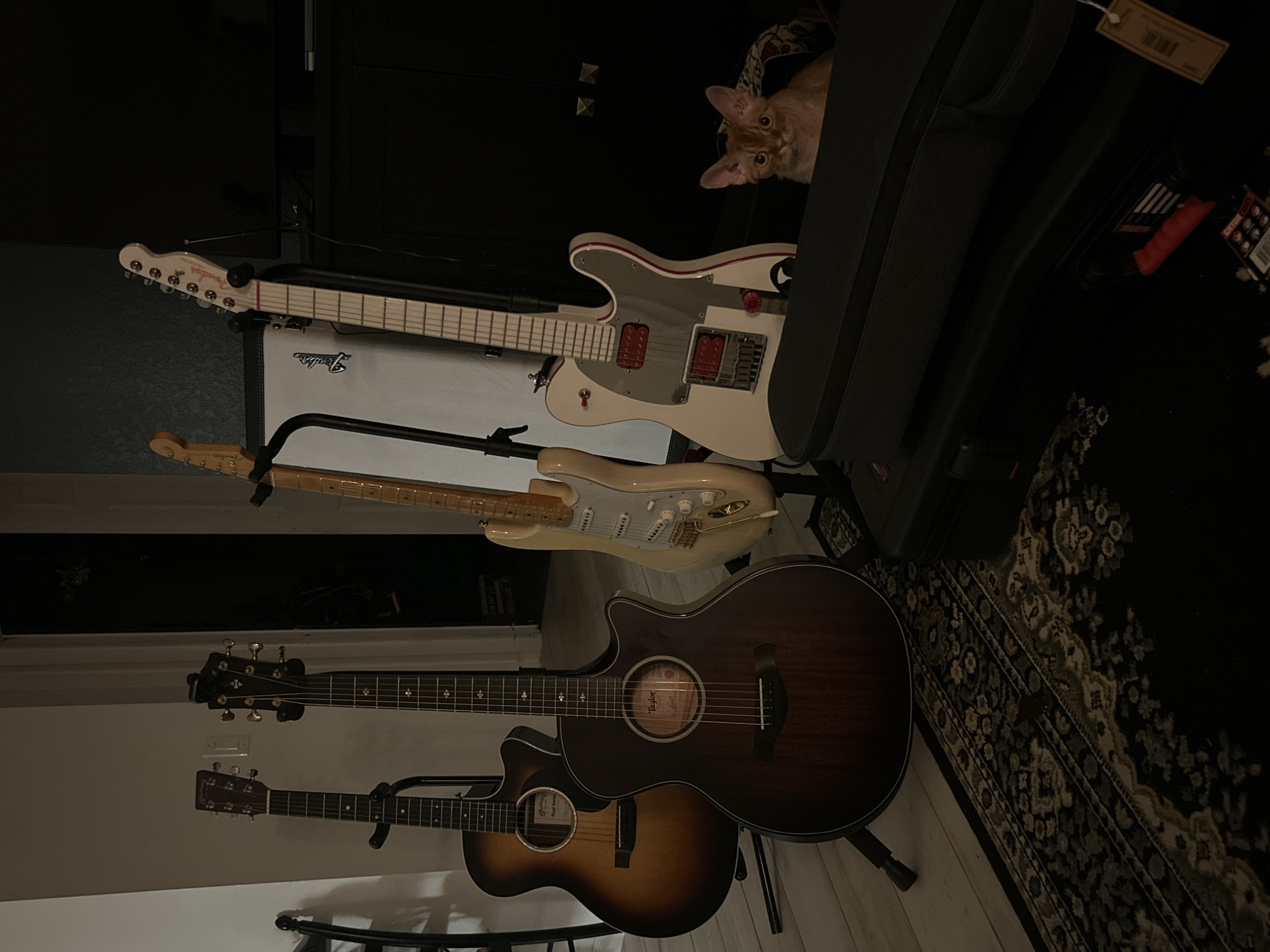 The image depicts a collection of musical instruments, primarily guitars, within what appears to be a domestic setting. There are four guitars visible: two acoustic guitars placed on stands in the foreground and two electric guitars situated higher in the background, one atop a white amplifier. A black guitar case is partially visible to the right of the guitars.
The environment includes a dark-colored cabinet or shelving unit and a patterned rug on the floor. A cat is partially visible, peering from behind the cabinet. The location is identified as Cape Coral, United States of America. No people are explicitly visible in the scene. Interactions are limited to the arrangement of objects within the room.