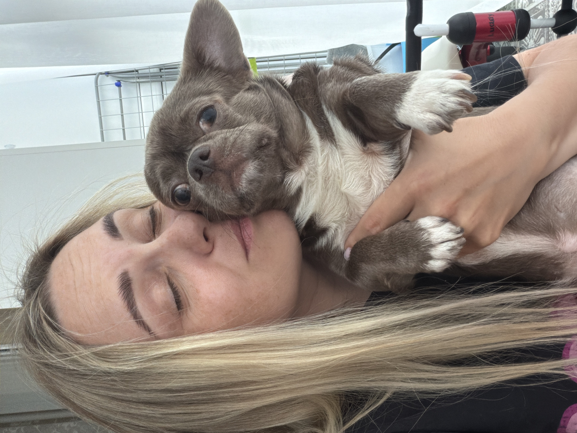 A woman with blonde hair lies down, eyes closed, while holding a brindle and white chihuahua. The woman is fair-skinned. The dog's head rests near the woman's face. The background includes an indoor space with a drying rack. It's impossible to confirm the location is Votkinsk, Russia based on the image alone.