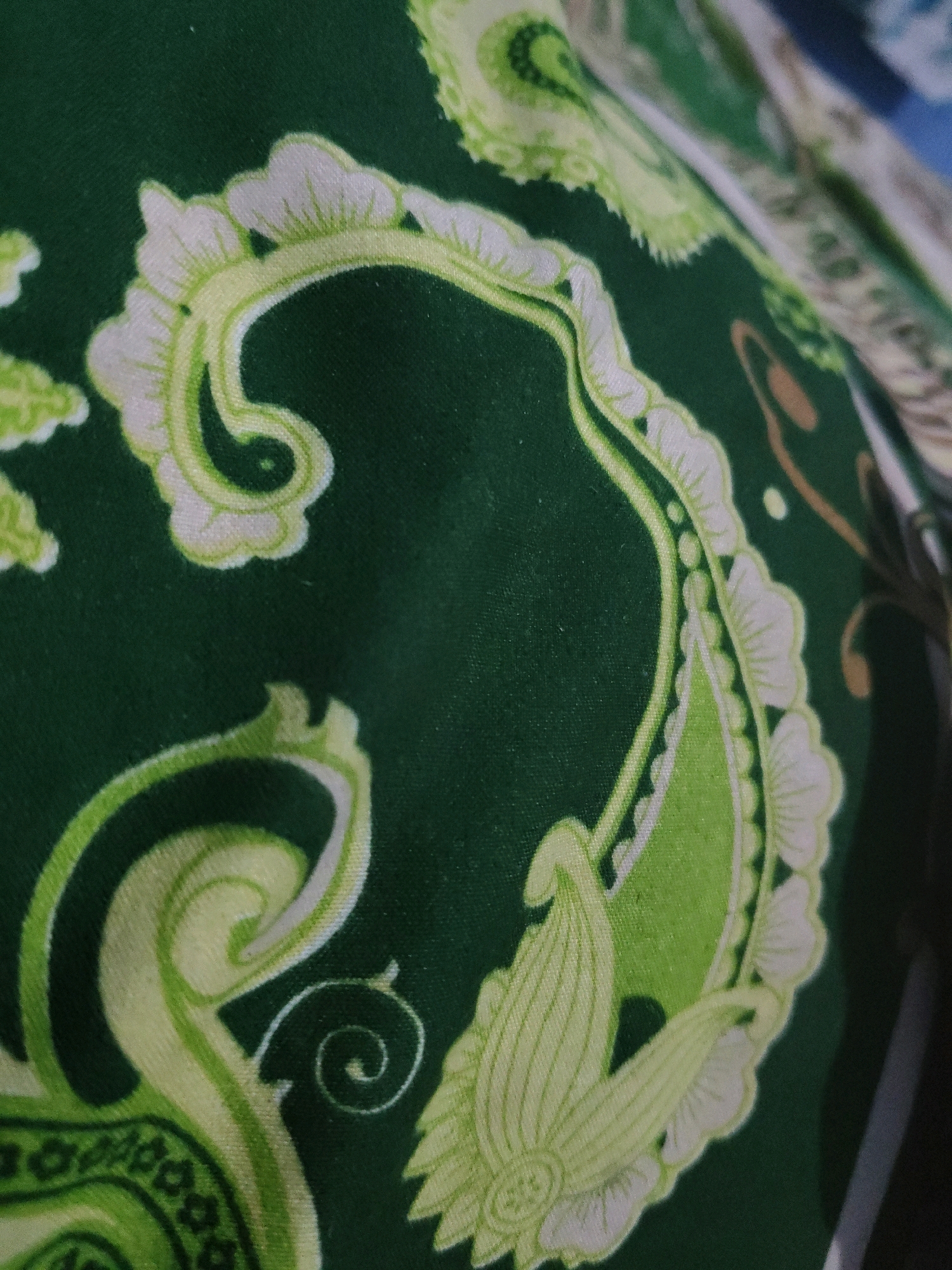 A close-up, low-angle shot captures a section of dark green fabric with a light green and white paisley-like pattern. The fabric appears to be a textile, possibly clothing or upholstery. The lighting is diffused, creating soft shadows and highlighting the textured weave of the material. The pattern features swirling, curved motifs with scalloped edges and floral-like elements. The overall impression is one of detail and intricacy in the fabric design. The image does not depict any elements that can be used to ascertain its location in Bulak Lor, Indonesia.