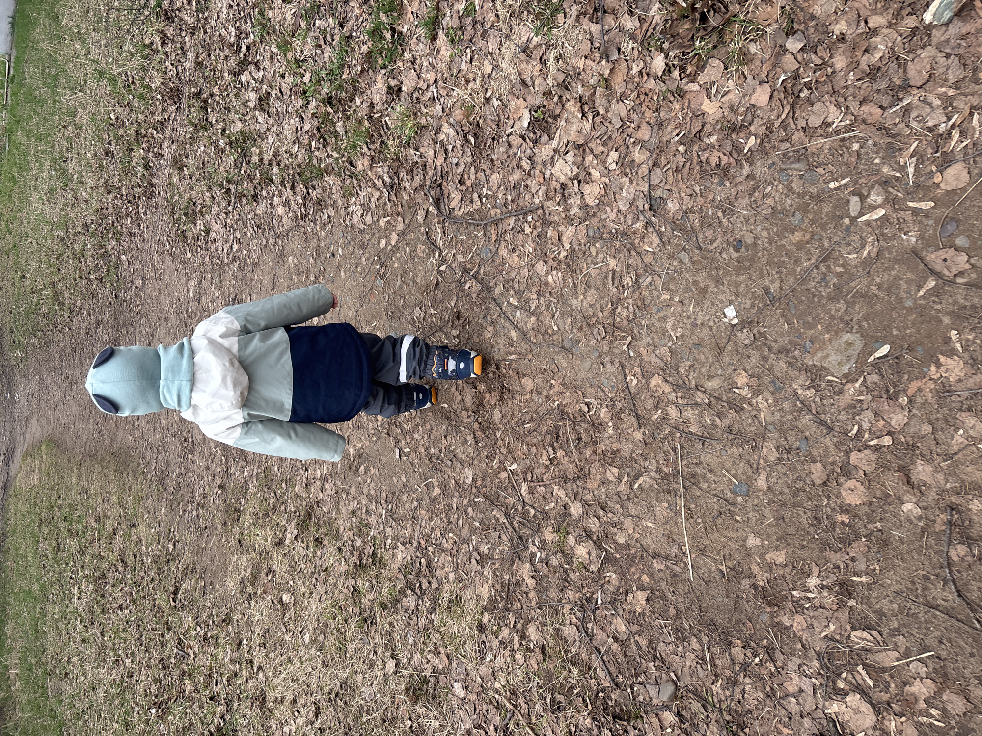 An outdoor scene in Chaikovsky, Russia, captured from a top-down perspective, shows a young child walking away from the camera on a dirt path. The child is wearing a light blue and white color-blocked hooded jacket with the hood up, dark blue pants, and black and orange sneakers.
The path itself is covered with a scattering of dry, brown leaves, small twigs, and patches of sparse, dry grass. More dry leaves and grass are visible on either side of the path, creating an environment that appears to be a natural or park-like setting. The overall appearance of the ground cover and the child's attire suggests a cool weather season, such as late autumn or early spring. The natural lighting indicates it is daytime. No text is visible in the image.