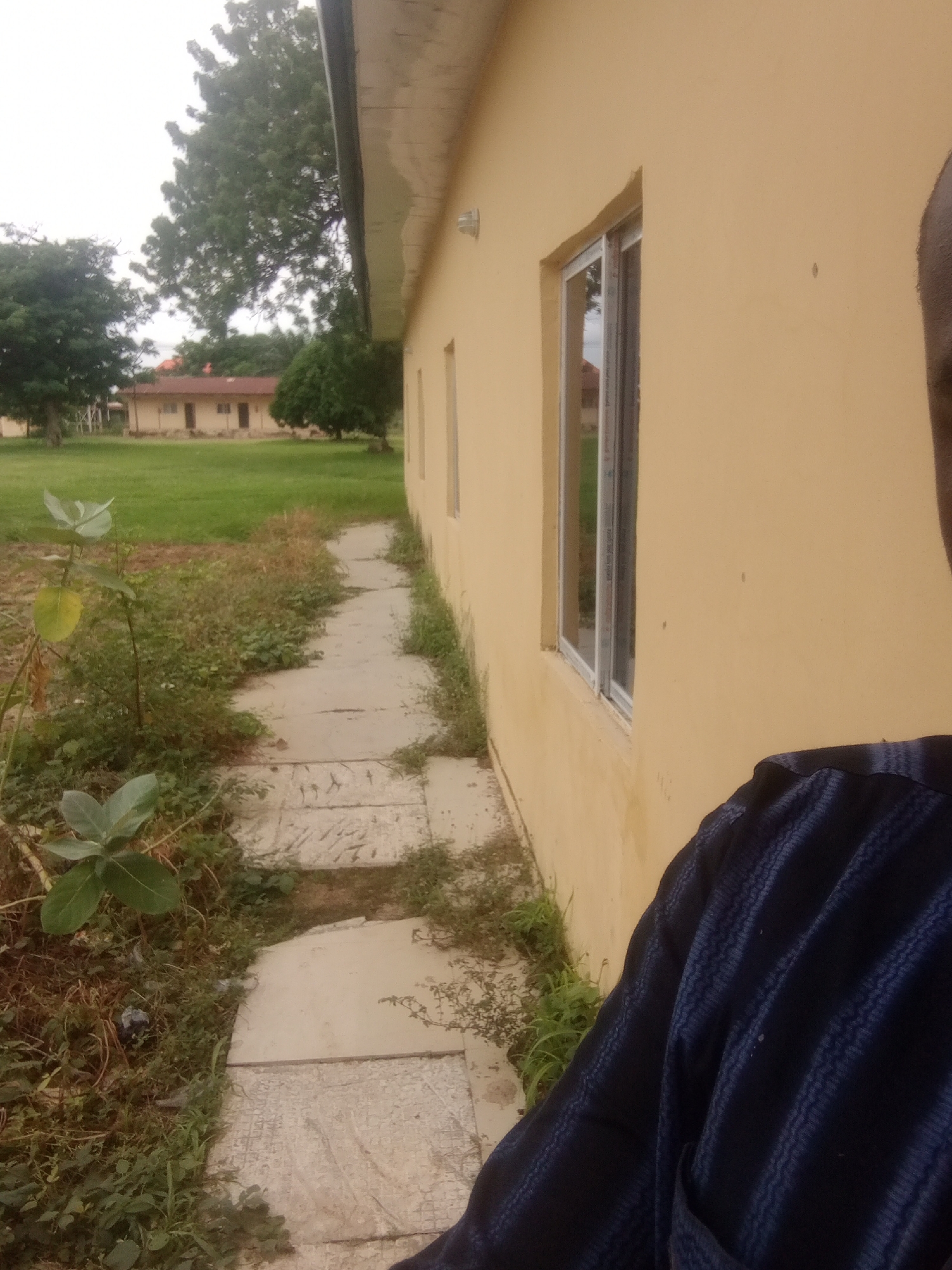 A person is taking a selfie outdoors, standing next to a light yellow building. The building has a white overhang and a window with a reflective surface. A paved walkway, made of irregular concrete slabs, is visible leading away from the building and bordered by overgrown grass and vegetation. In the background, there is a large green lawn with trees and a low-rise building with a reddish-brown roof. The sky appears overcast, suggesting a cloudy day. The person is wearing a dark blue garment with a striped pattern. The image appears to have been taken in Jalingo, Nigeria.