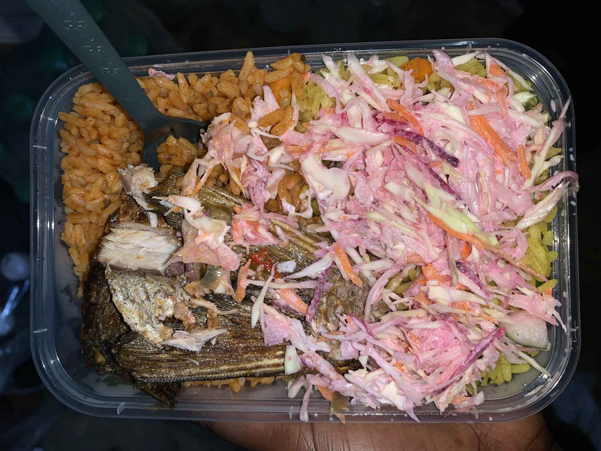 The image shows a clear plastic container of food held in a person's hand. The food appears to be a combination of rice, fried fish, and coleslaw. There are two types of rice: one is orange and the other is yellow. The coleslaw is multicolored, including white, pink, orange, and purple. A gray plastic spoon is in the container. No specific details indicate the location is Kabong, Nigeria.