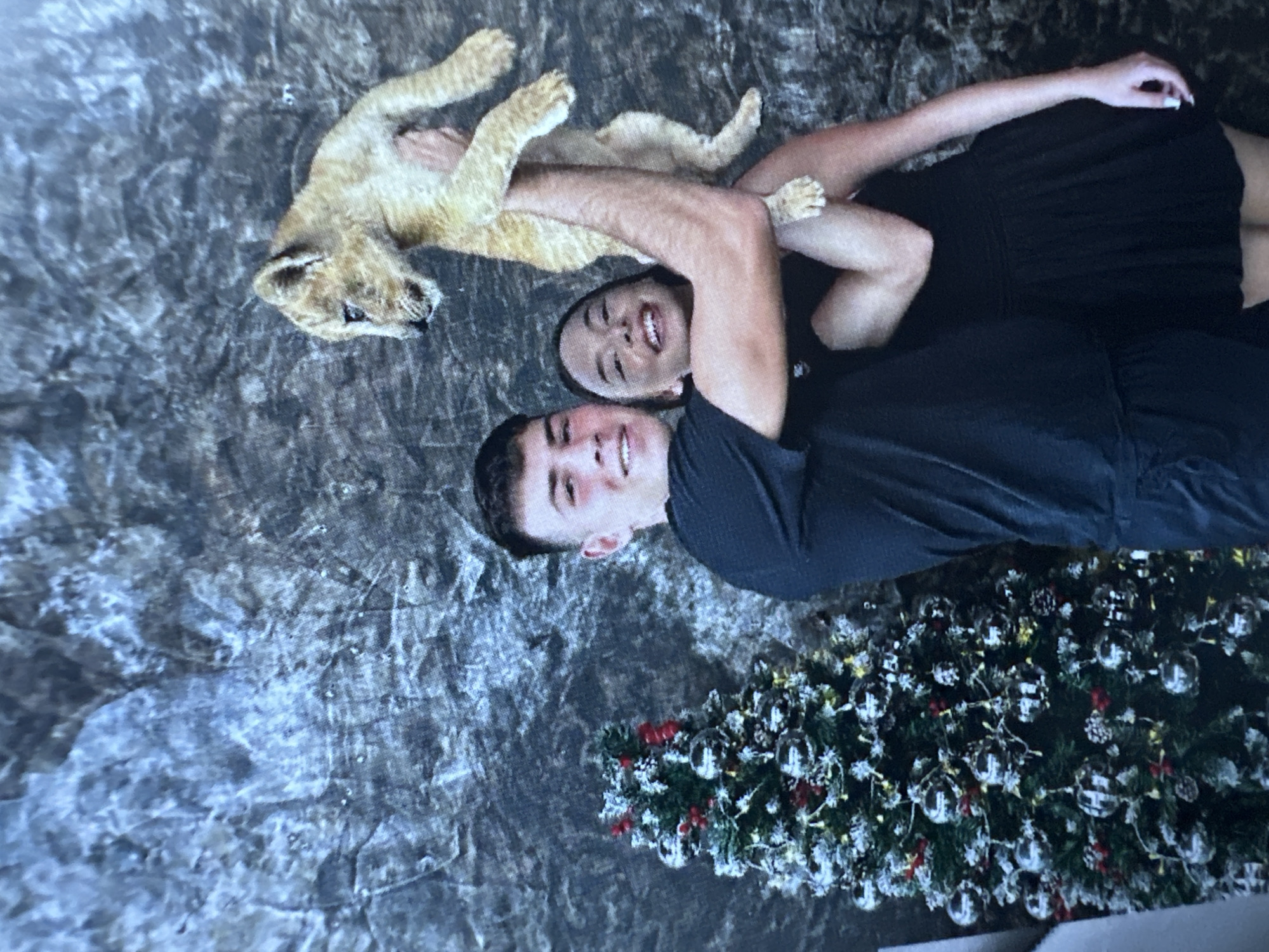 A young couple poses for a photograph in front of a rocky textured backdrop, with a decorated Christmas tree to their left. The male is on the left, wearing a black t-shirt and holding a lion cub aloft with his right arm. The female is to his right, wearing a black dress, and her arms are around the cub, supporting it. Both individuals are smiling at the camera. The lion cub is light brown with faint stripes and appears to be looking towards the right of the frame. The Christmas tree is adorned with silver ornaments, red berries, and what appear to be snow-like embellishments. The backdrop is a dark, mottled gray-blue color with a rough texture. The image does not provide any visual cues to determine the specific location in Sofia, Bulgaria.