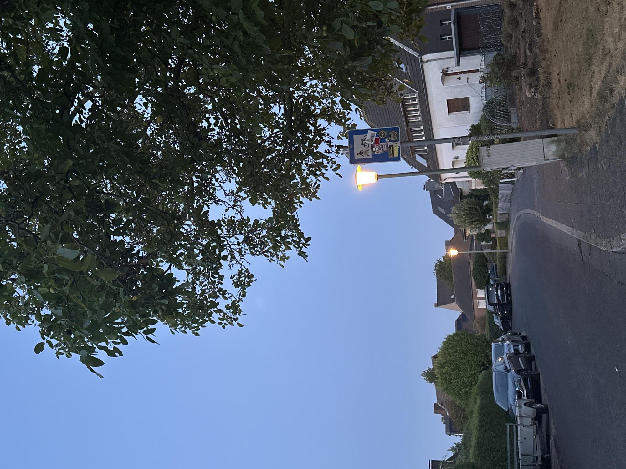 The image depicts a residential street in Krefeld, Germany, likely in the evening. A clear blue sky dominates the upper portion of the frame, with lush green foliage from a large tree casting shadows and obscuring parts of the sky. On the right side of the street, a white house with a tiled roof and several windows is visible, adjacent to a garden area with dry, brown vegetation. A street lamp with a warm yellow glow illuminates a section of the sidewalk. Beside the lamp post, a blue traffic sign displays pictograms of a person walking and a bicycle, suggesting a shared pedestrian and cycling path.
The street itself is asphalted and curves gently to the left. Several cars are parked along the right side of the street, including a dark-colored SUV, a black sedan, and another dark vehicle further down. A white trailer is attached to a vehicle on the left side of the street. Houses with pitched roofs and various architectural details line both sides of the street, with manicured hedges and some trees providing landscaping. The overall impression is that of a quiet, suburban neighborhood.